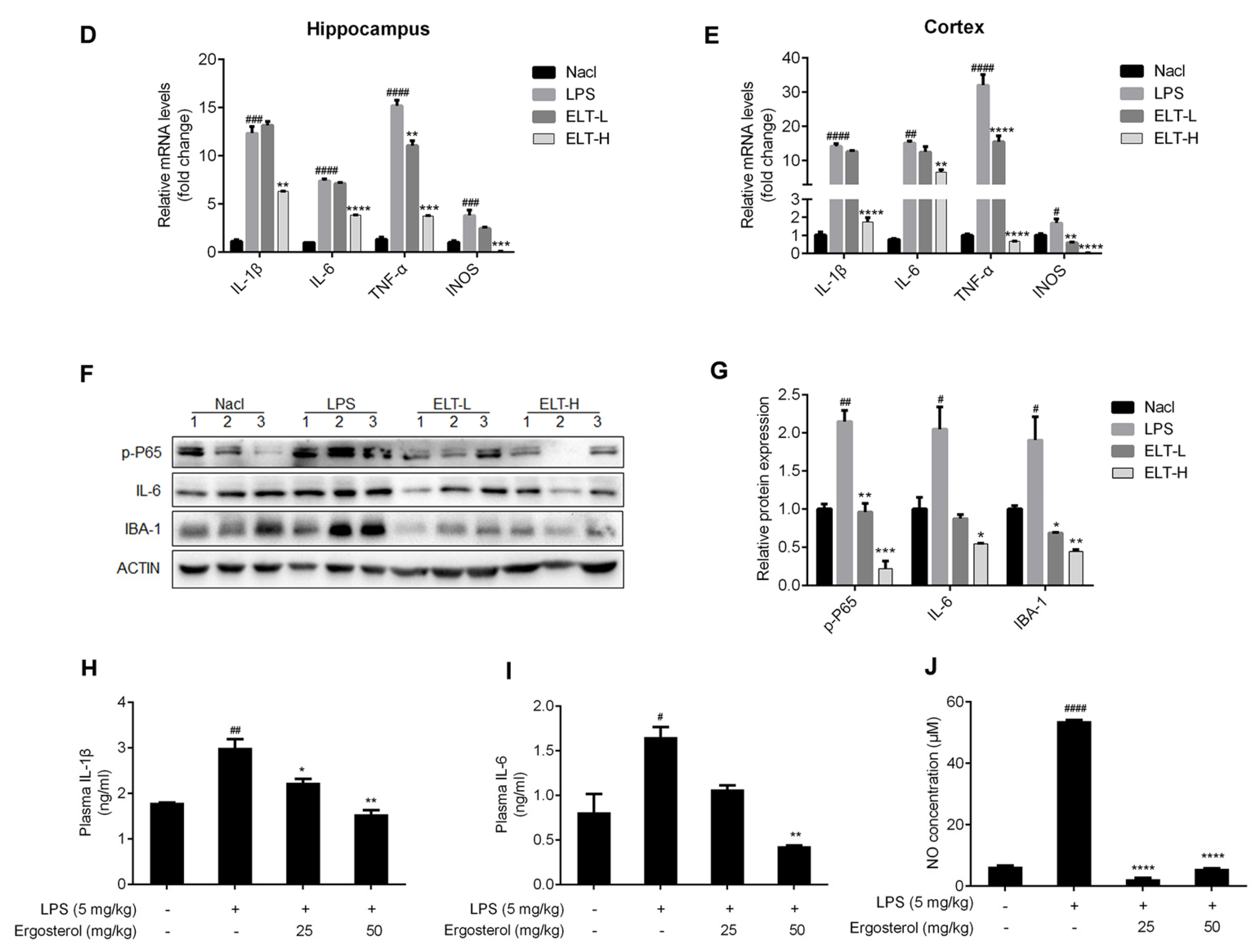Molecules 28 02406 g004b Molecules 28 02406 g004b
