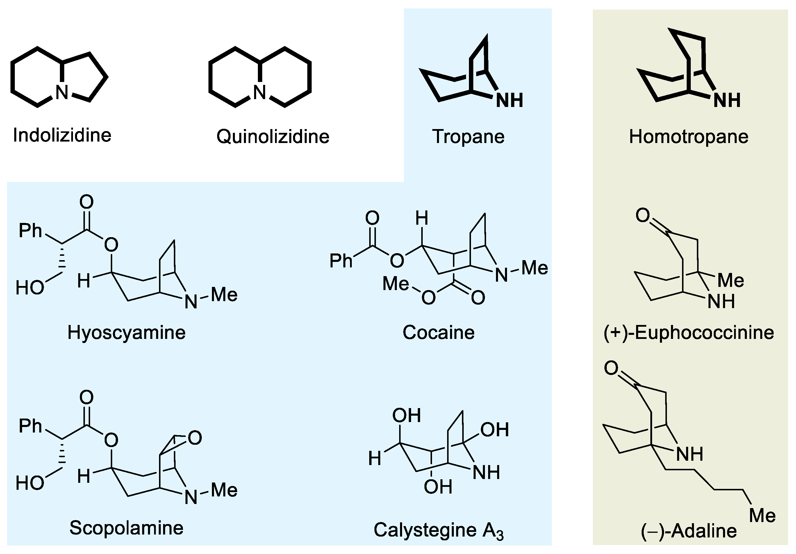 Molecules 28 02414 g001