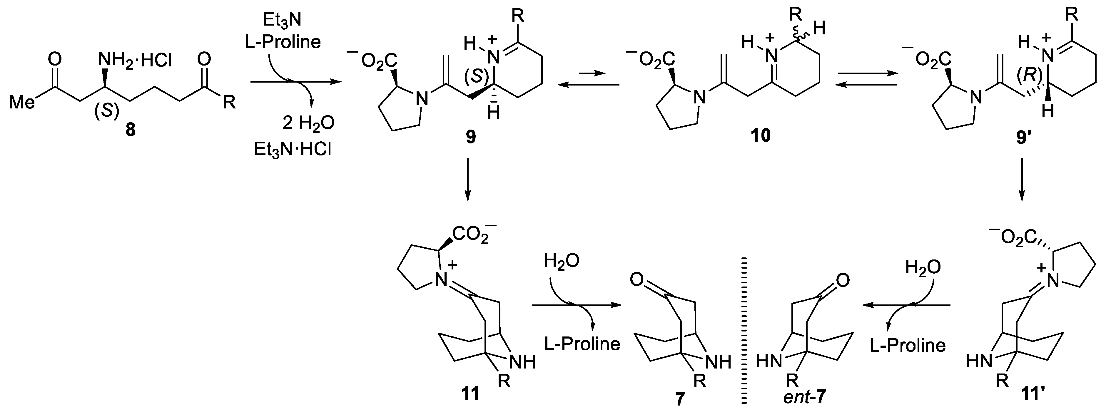 Molecules 28 02414 sch004
