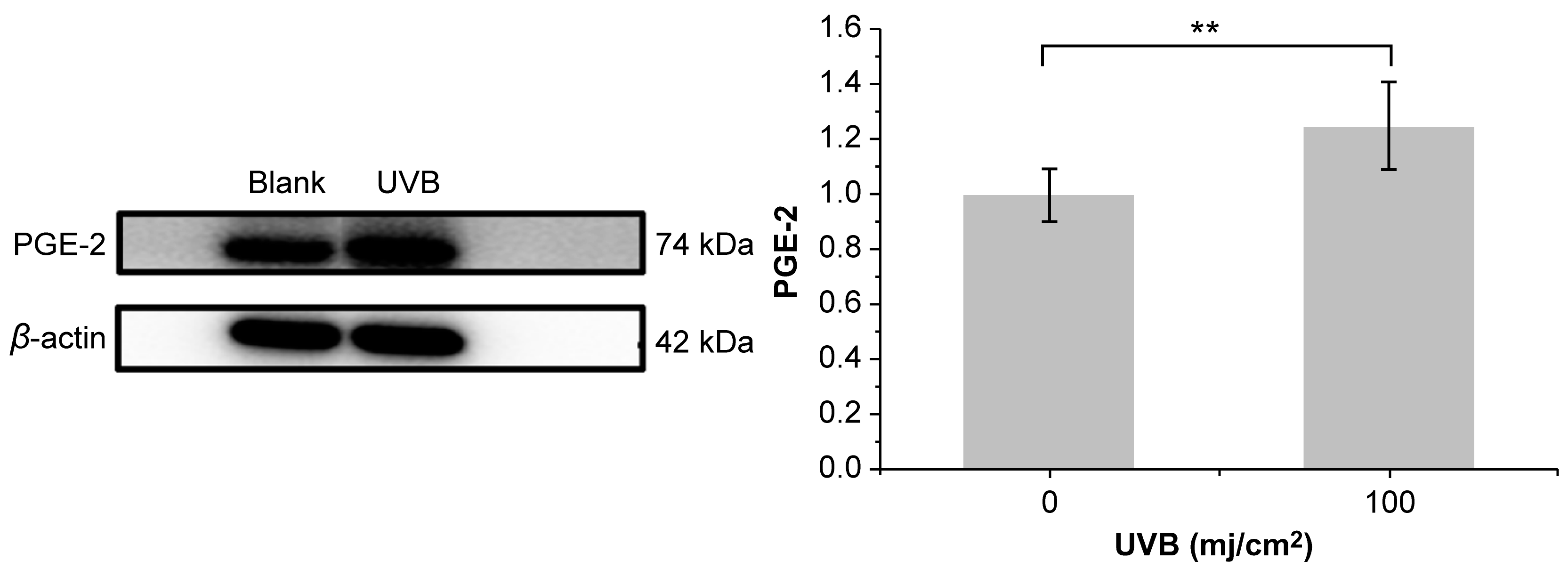 Molecules 28 02416 g004