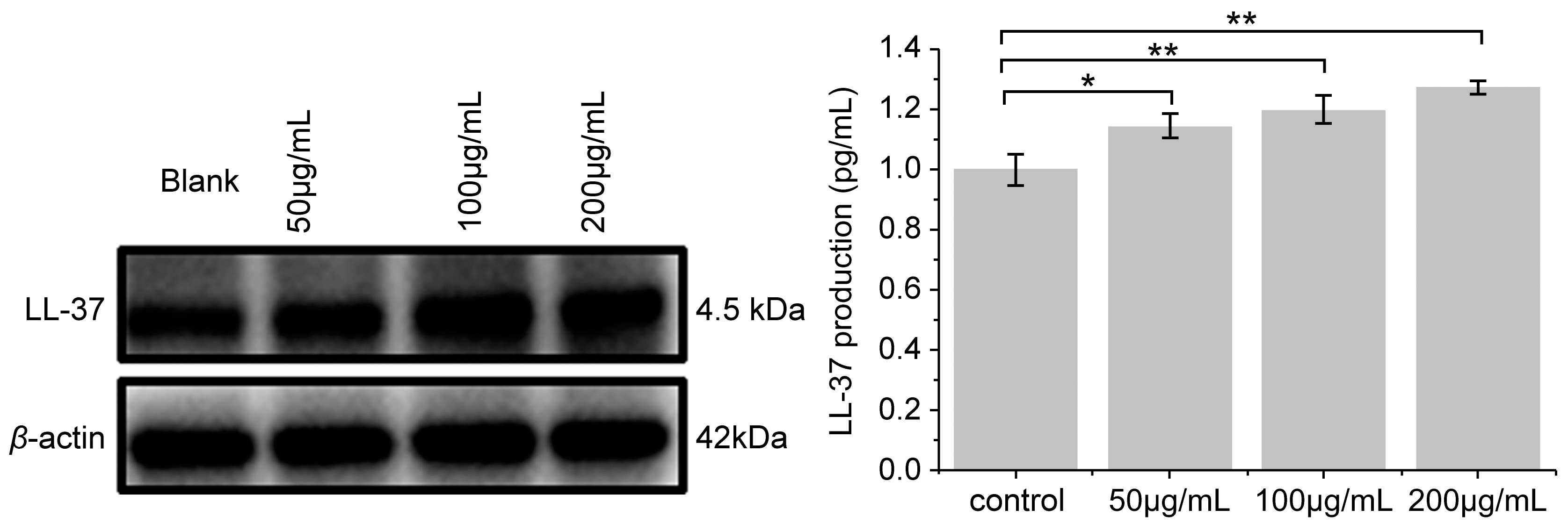 Molecules 28 02416 g008