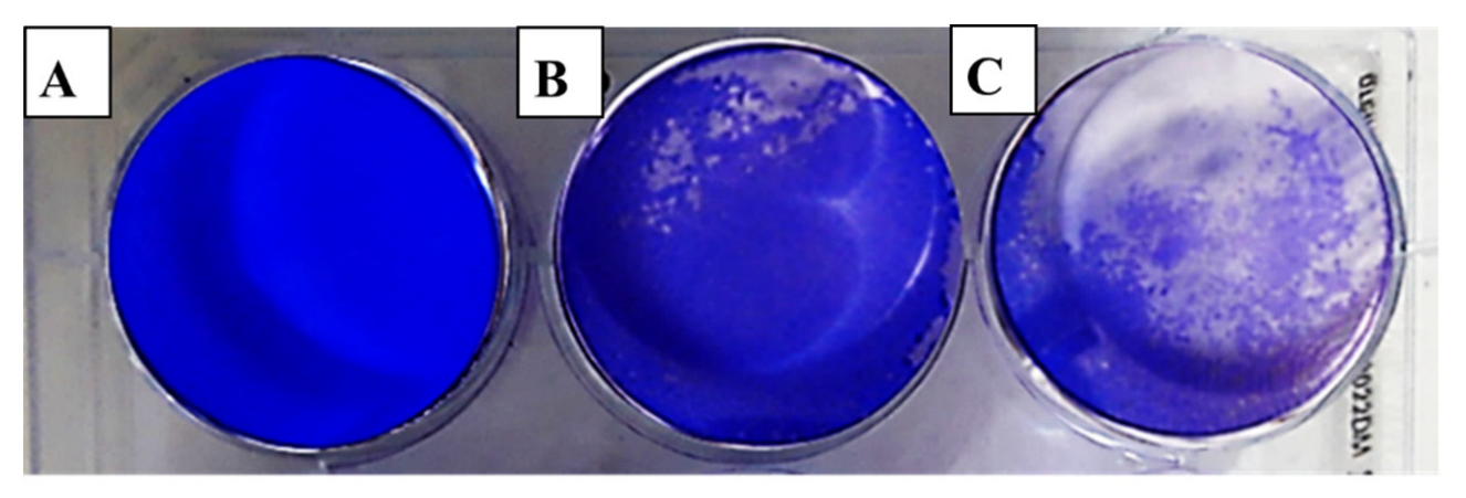 Molecules 28 02421 g003 Molecules 28 02421 g003