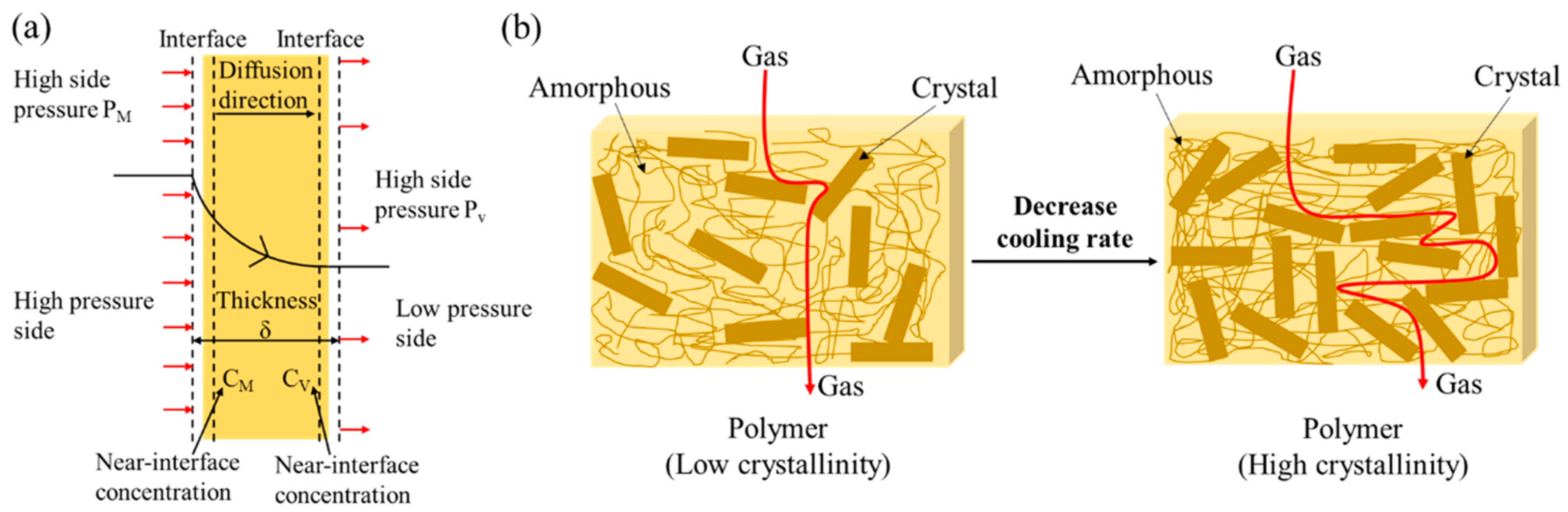 Molecules 28 02425 g013