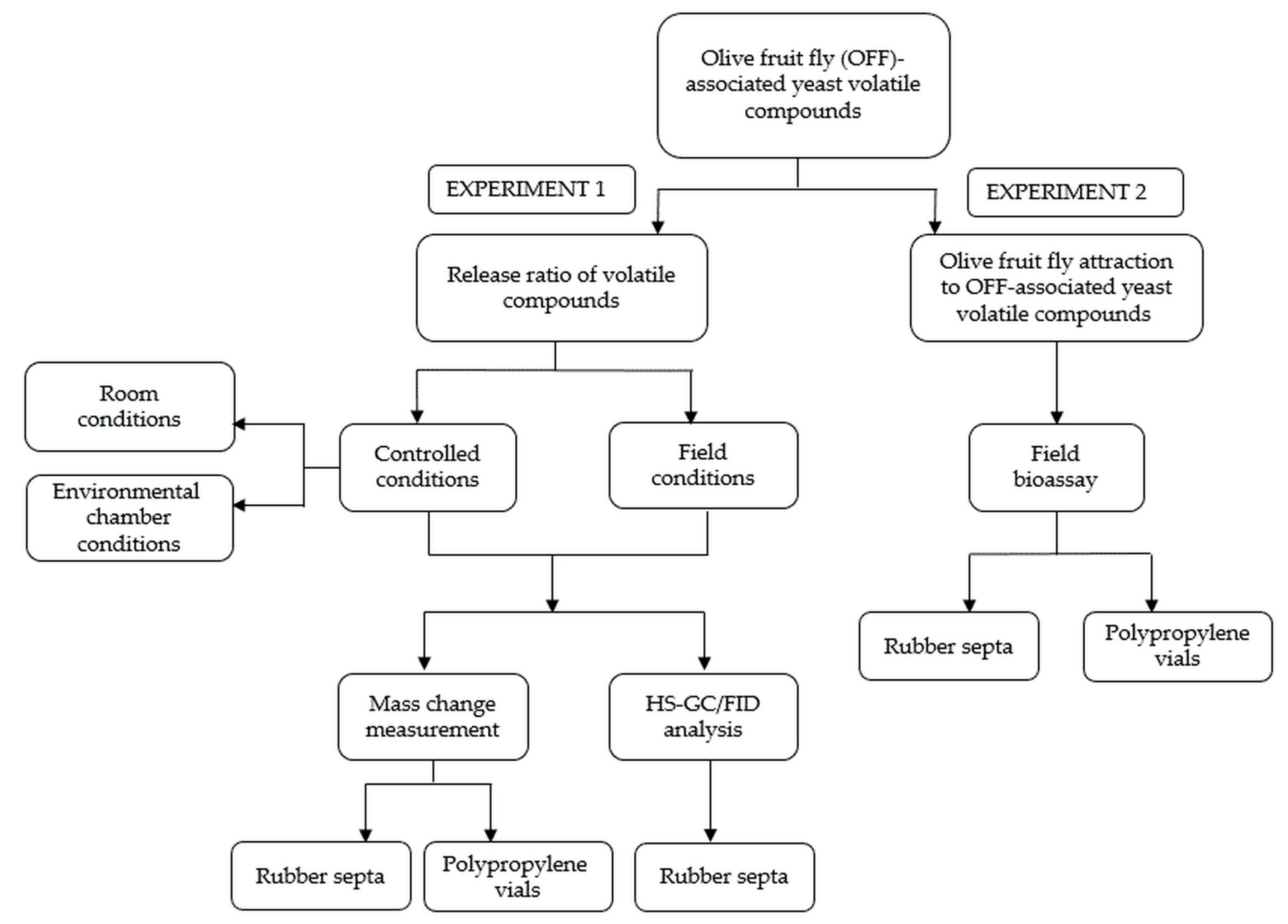 Molecules 28 02431 g001