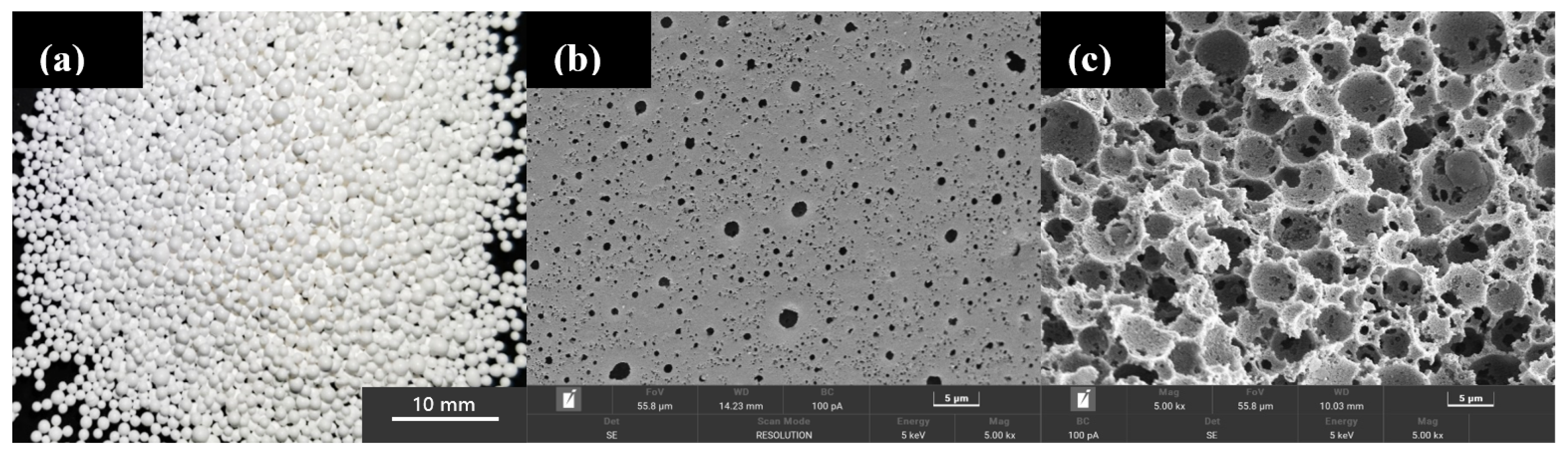 Molecules 28 02440 g001 Molecules 28 02440 g001