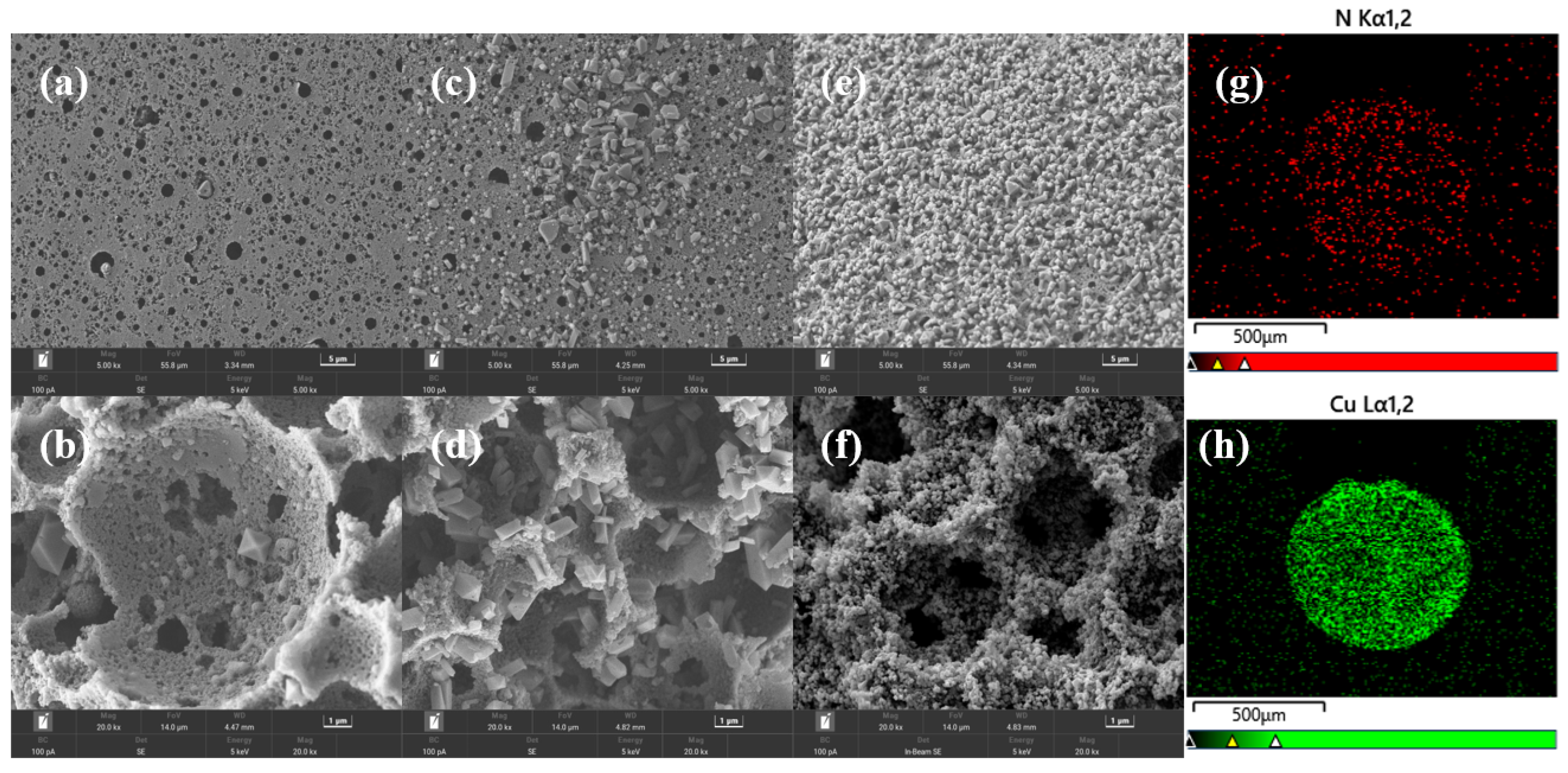 Molecules 28 02440 g002 Molecules 28 02440 g002