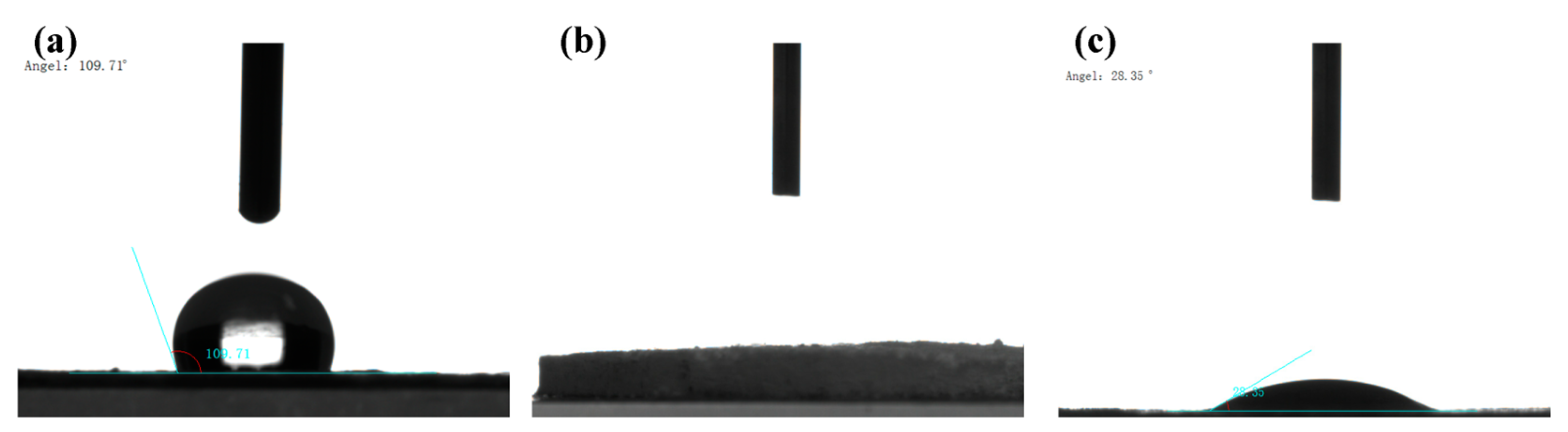 Molecules 28 02440 g003 Molecules 28 02440 g003