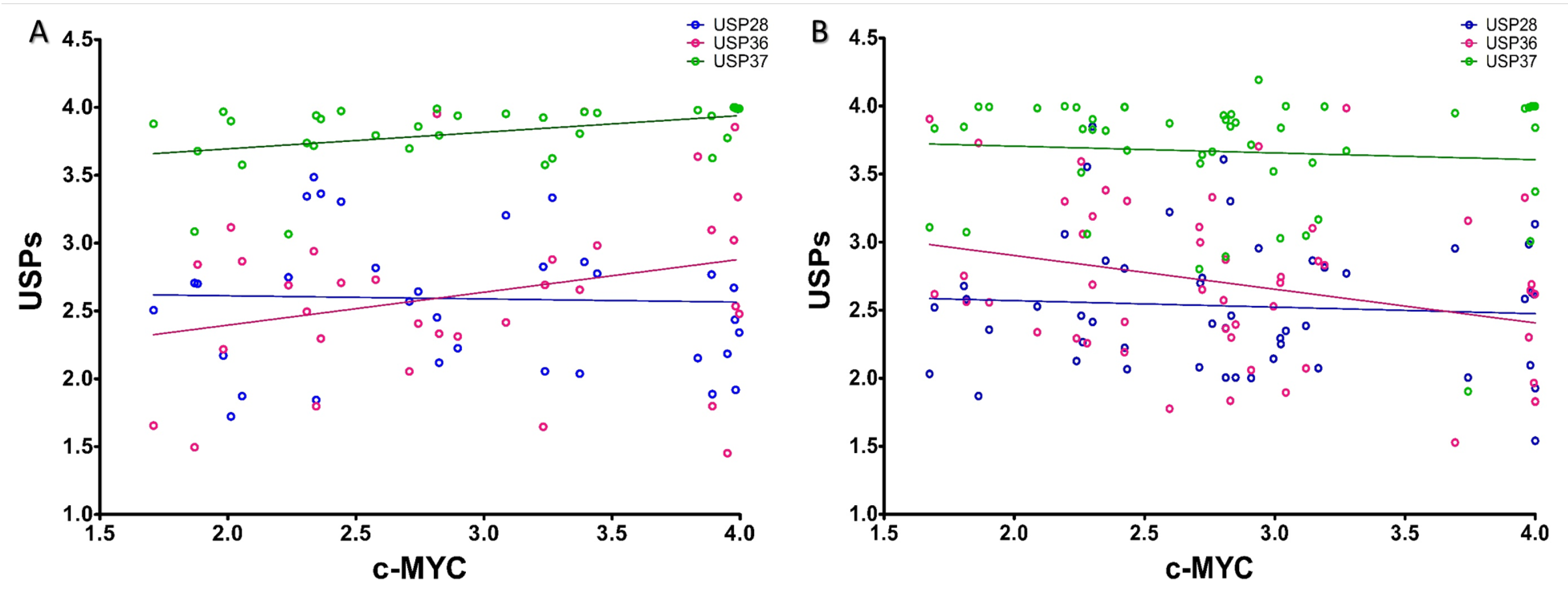 Molecules 28 02441 g004 Molecules 28 02441 g004