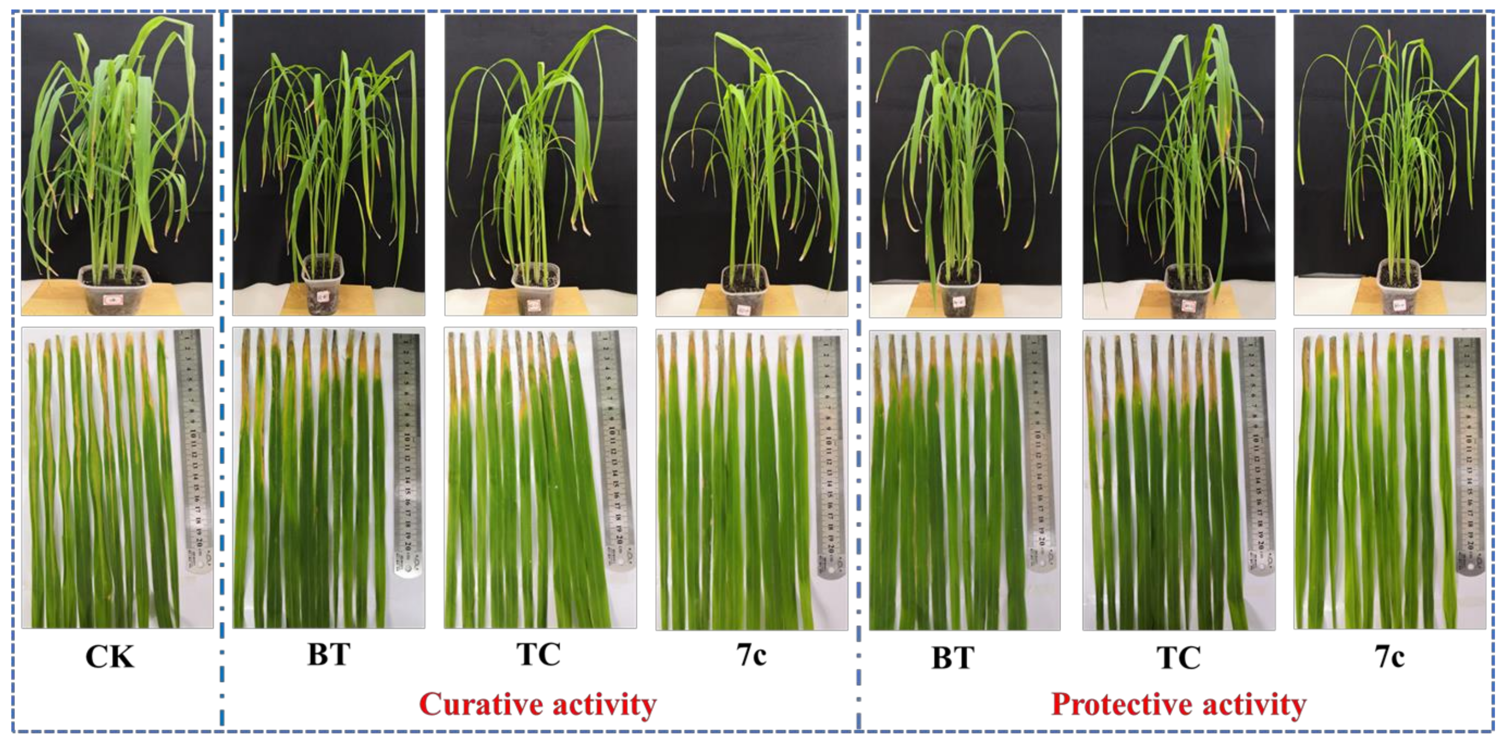 Molecules 28 02442 g003