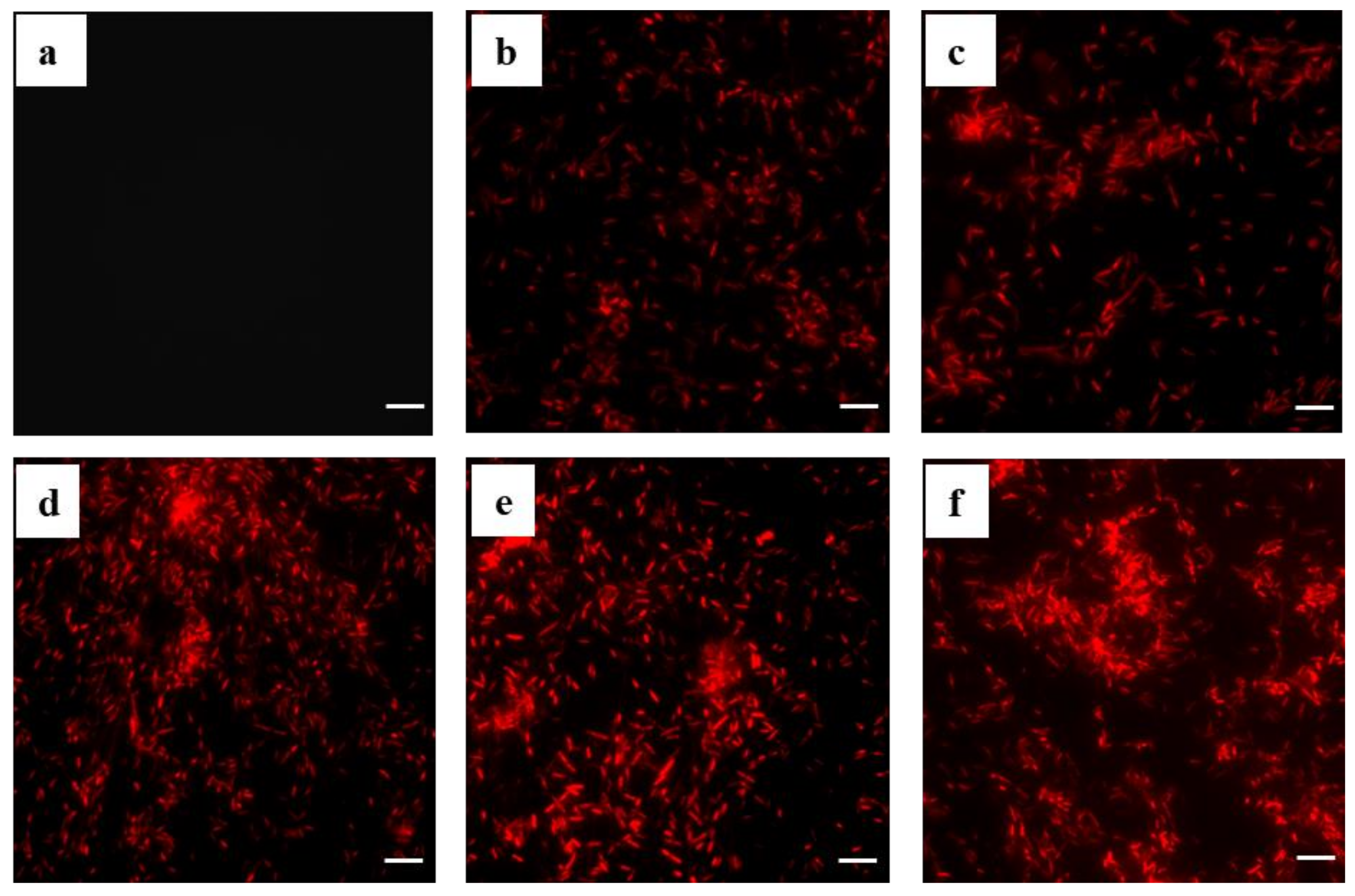 Molecules 28 02442 g007