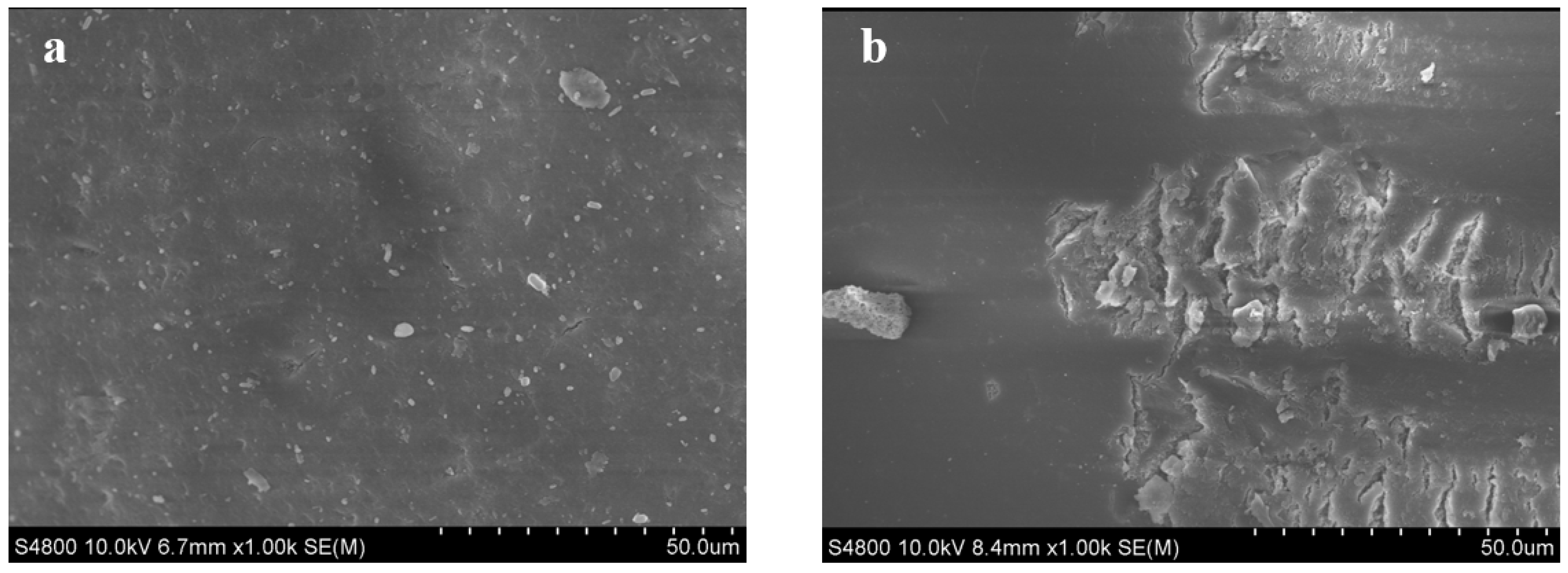 Molecules 28 02444 g004 Molecules 28 02444 g004