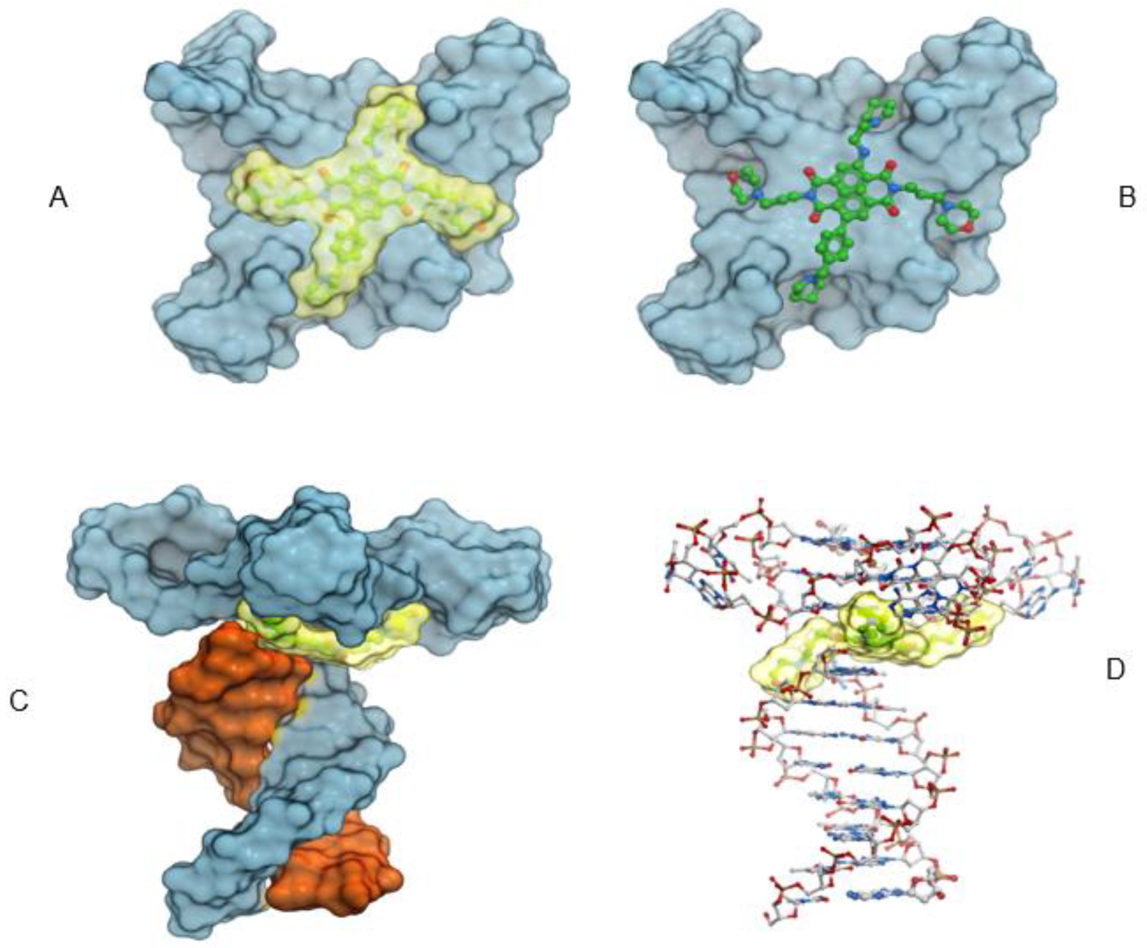 Molecules 28 02452 g006