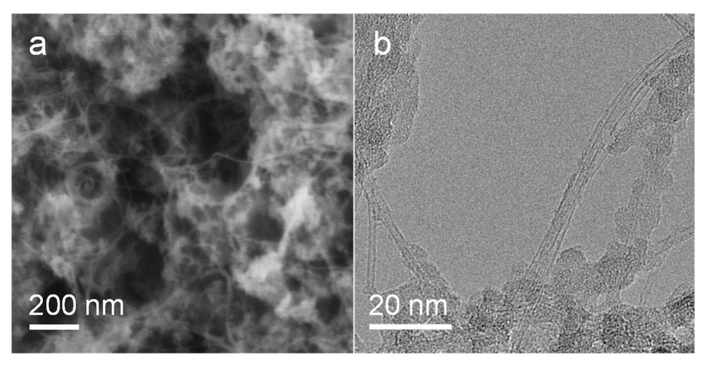 Molecules 28 02453 g004 Molecules 28 02453 g004