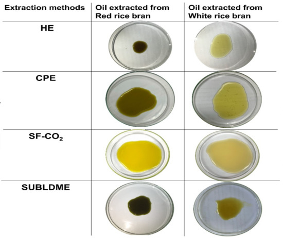 PDF) Studies on Particle Size Distribution of Rice Bran Wax in the Presence  of Gum and Oil in Hexane Medium