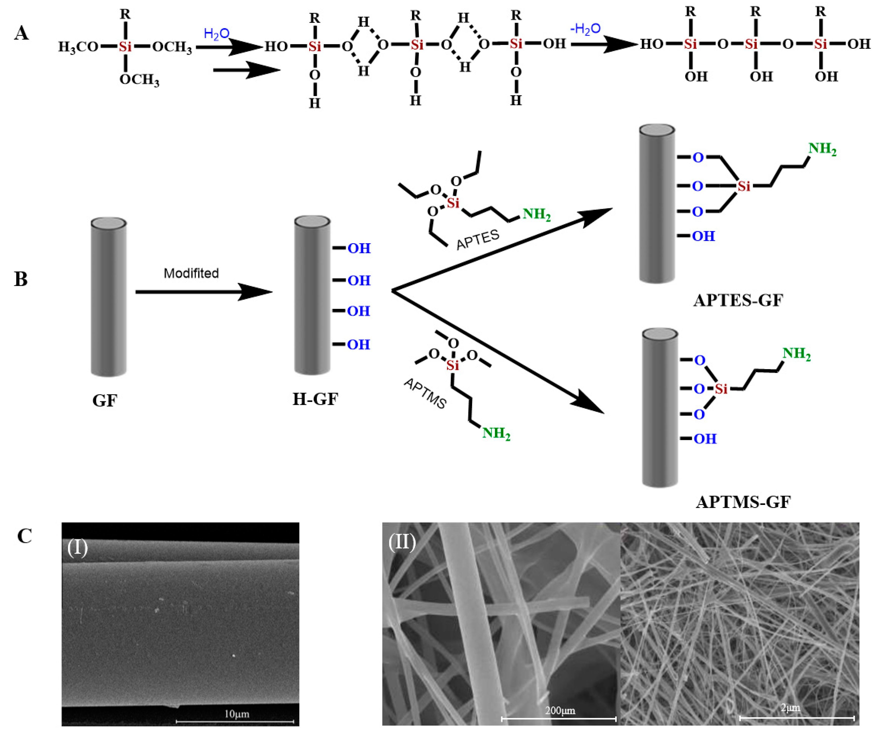 Molecules Free FullText Recent Progress in Modifications