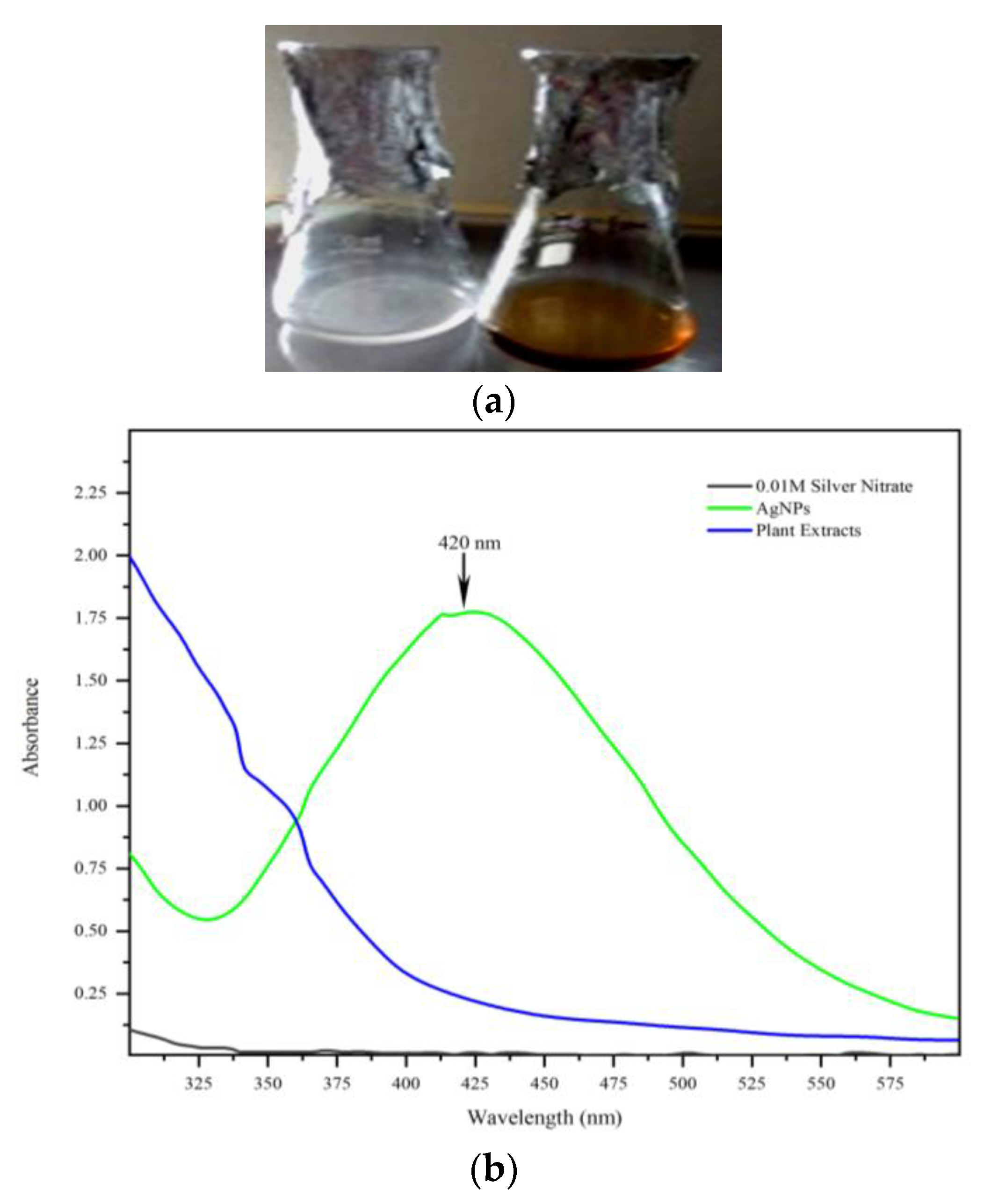 Molecules 28 02468 g001 Molecules 28 02468 g001