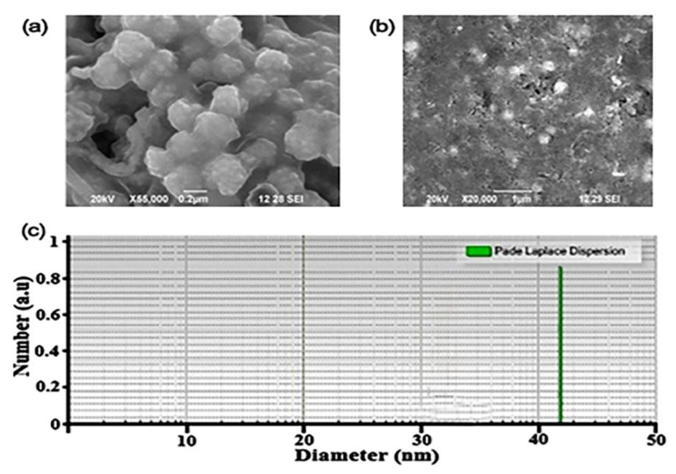 Molecules 28 02468 g003 Molecules 28 02468 g003