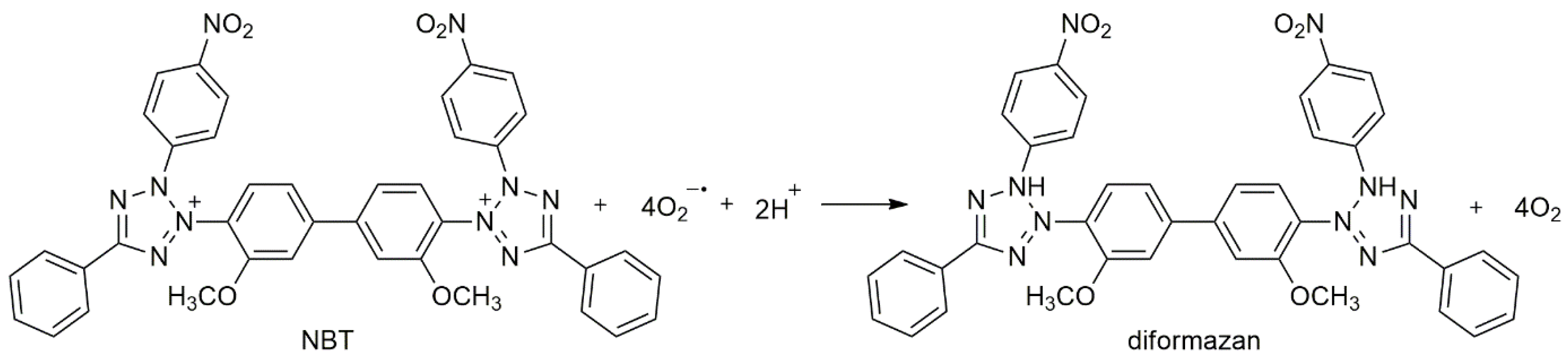 Molecules 28 02469 sch001 Molecules 28 02469 sch001