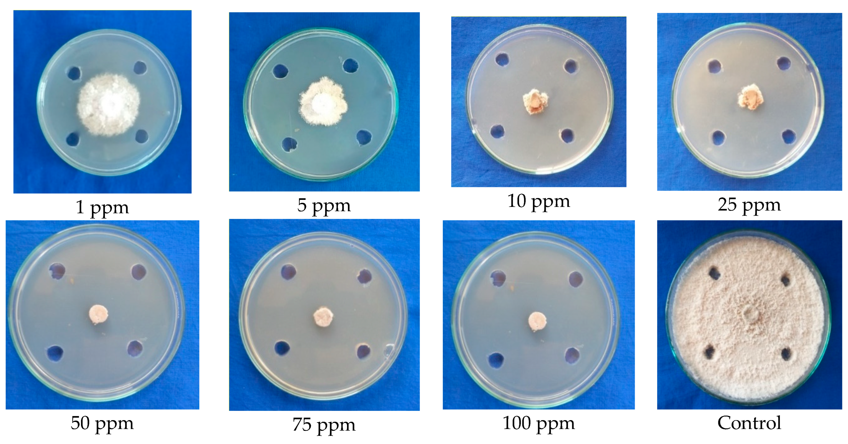 Molecules 28 02476 g005 Molecules 28 02476 g005