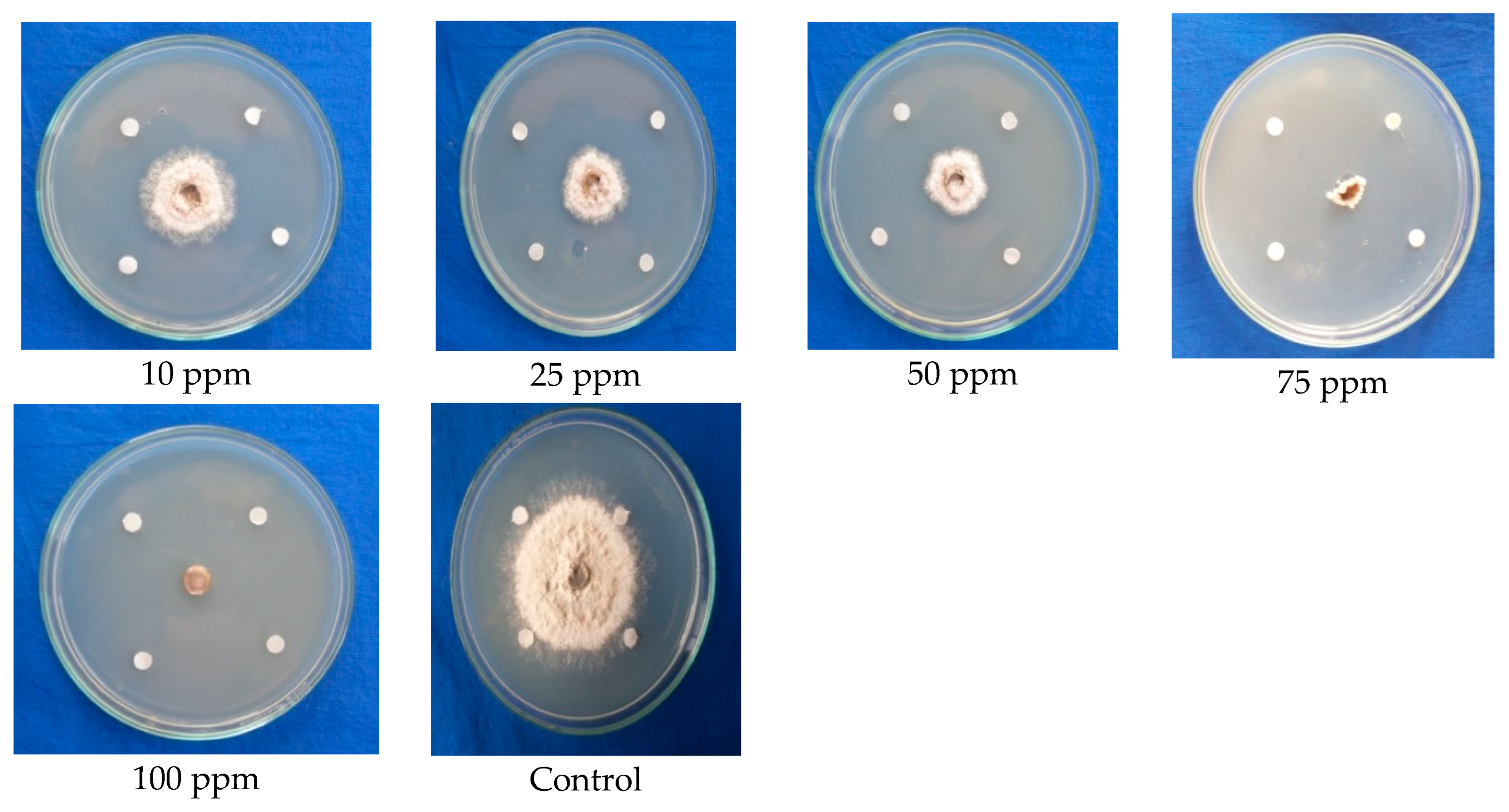 Molecules 28 02476 g006 Molecules 28 02476 g006