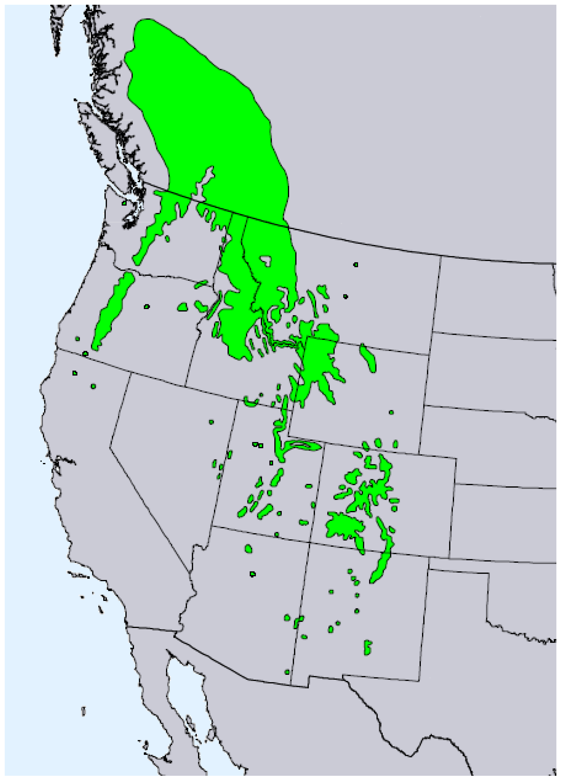 Molecules 28 02477 g003