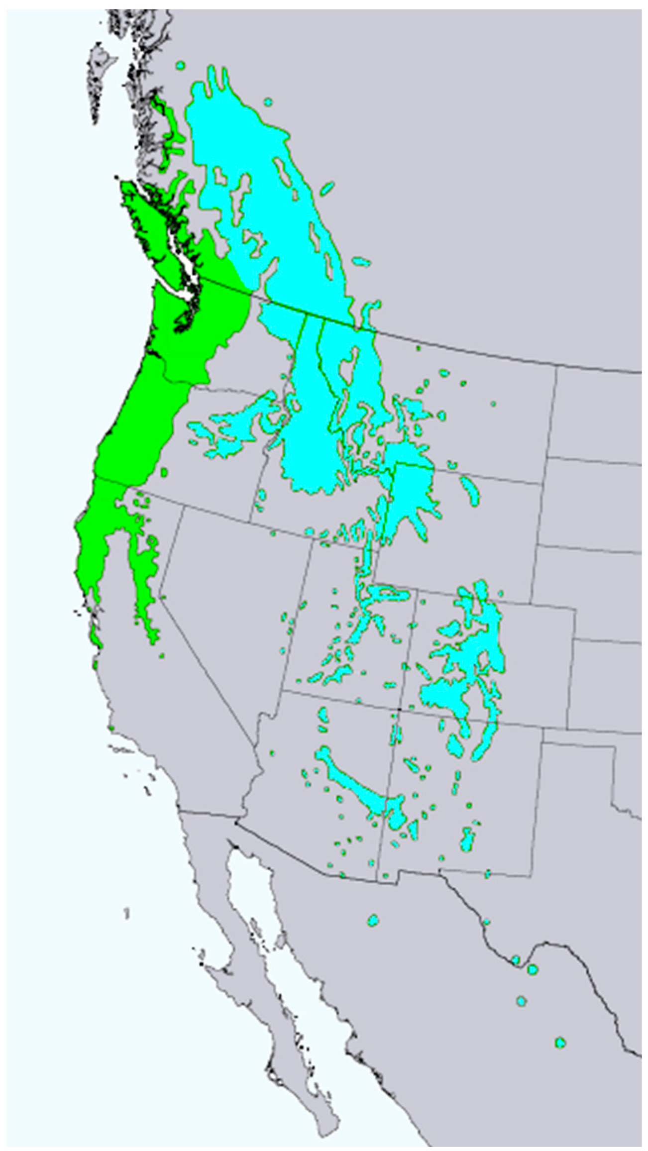 Molecules 28 02477 g007