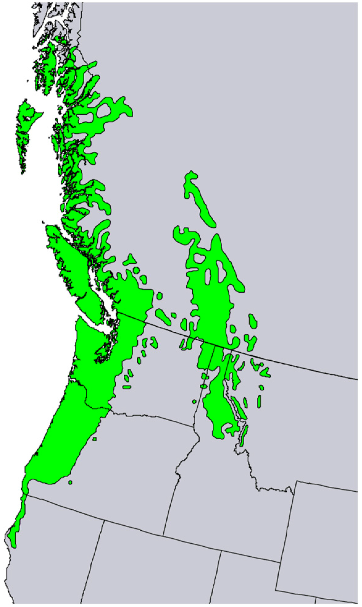 Molecules 28 02477 g009