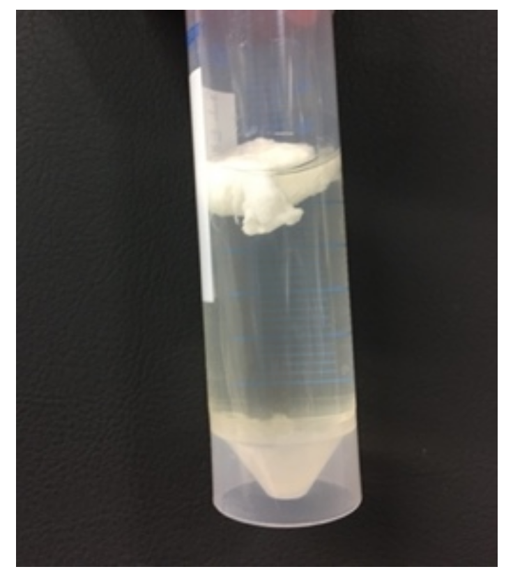 Molecules 28 02478 g005 Molecules 28 02478 g005