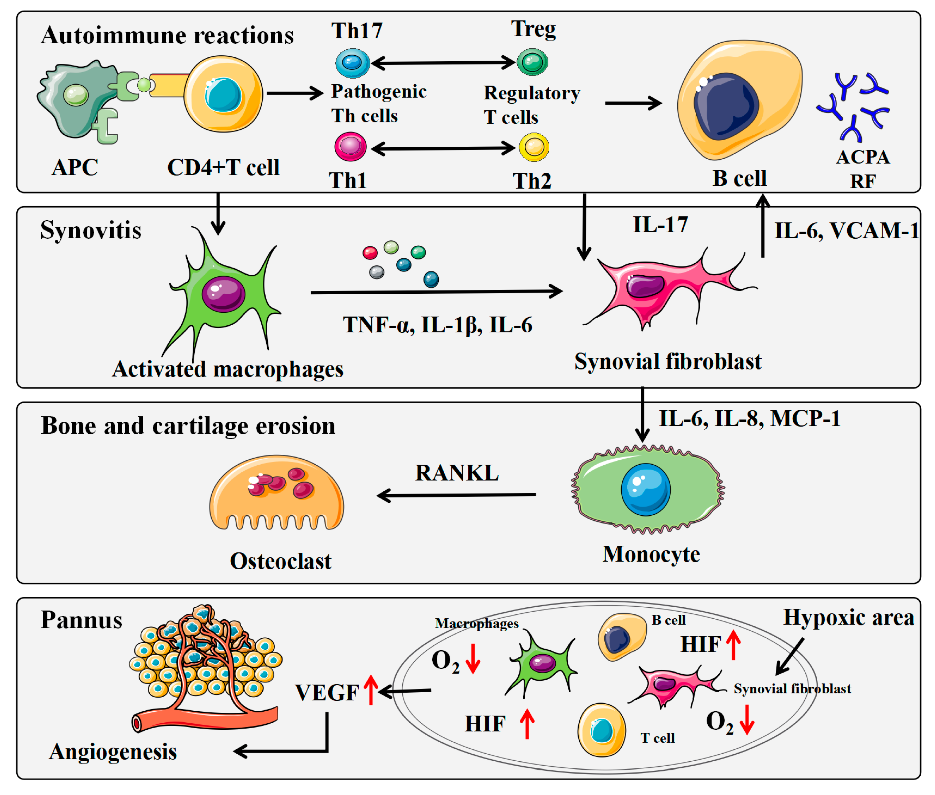Molecules Free FullText Potential AntiRheumatoid Arthritis