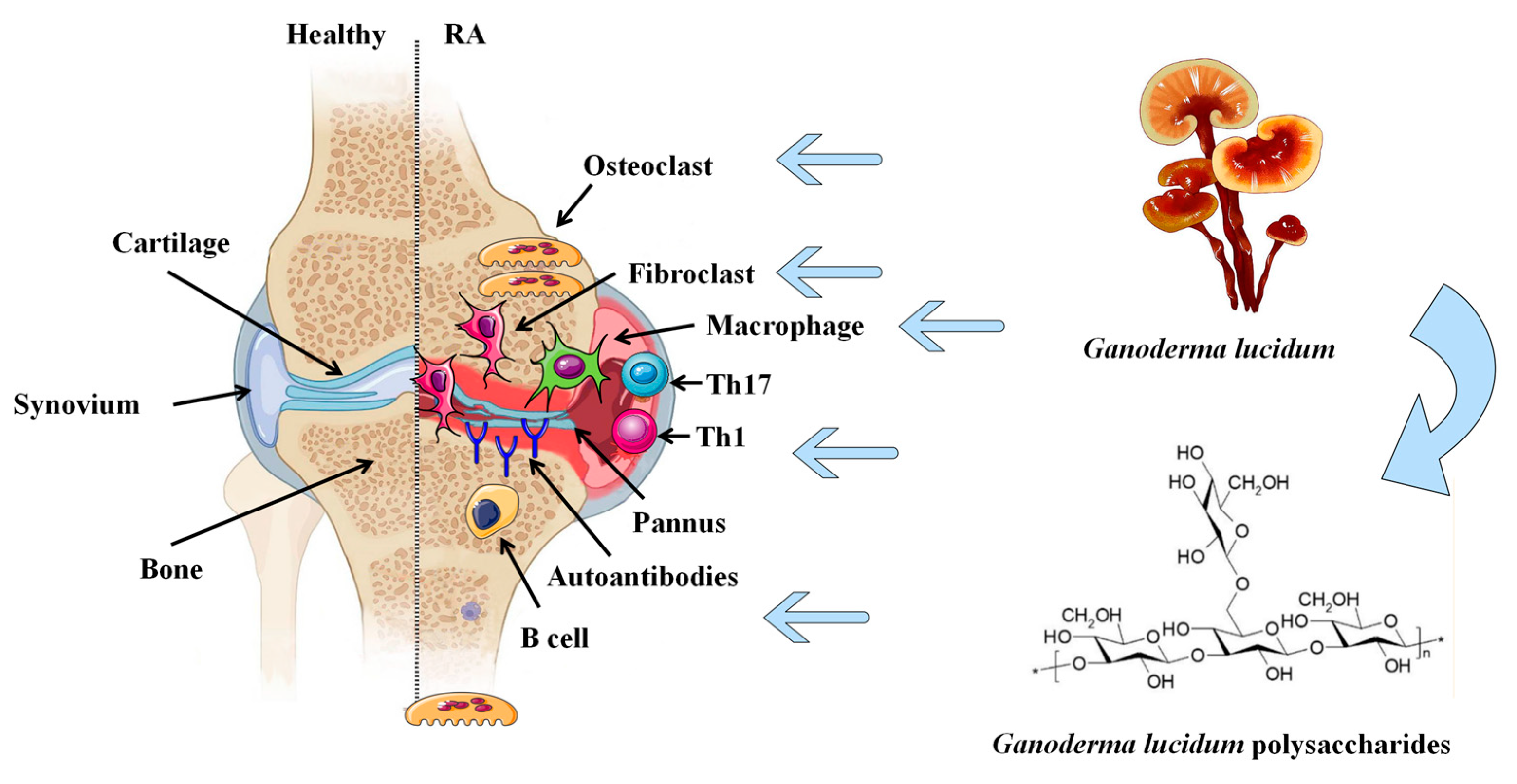 Molecules 28 02483 g002 Molecules 28 02483 g002