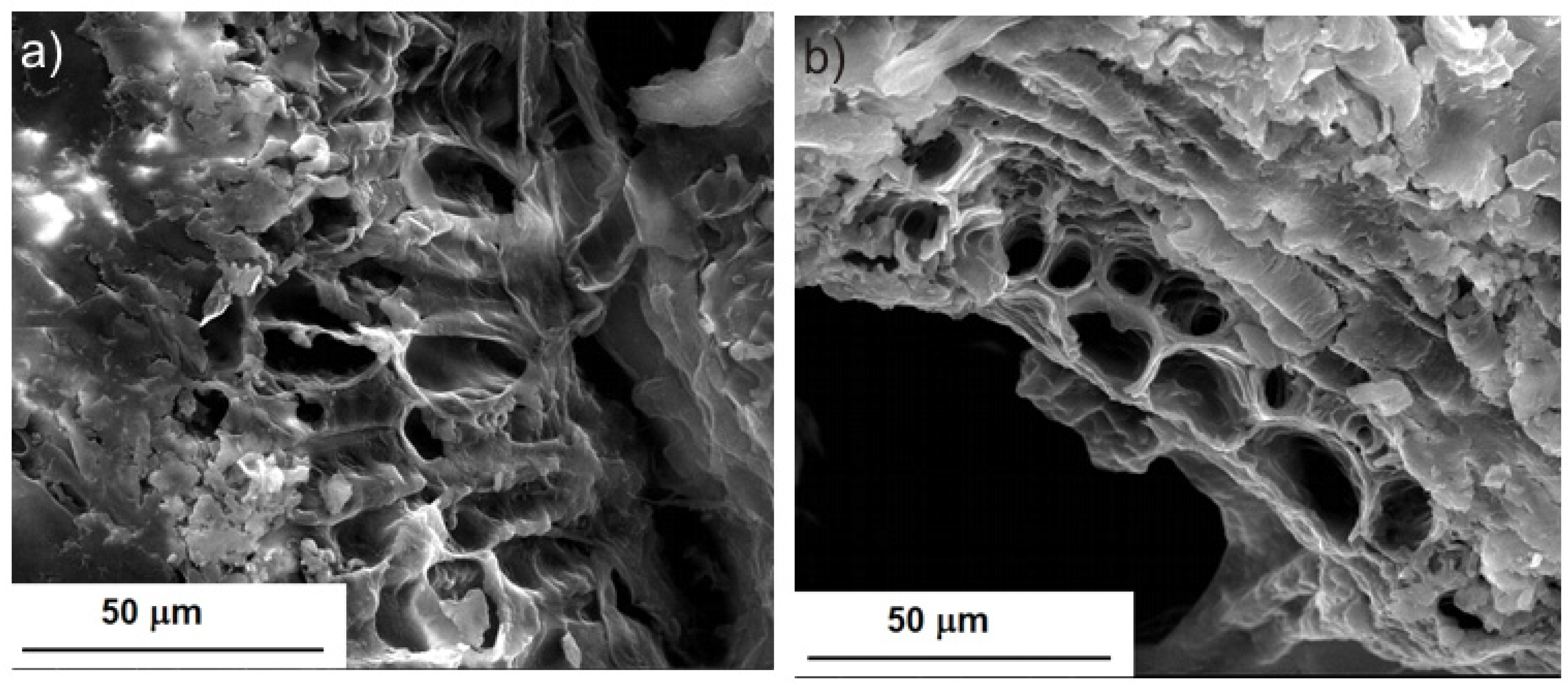 Molecules 28 02486 g001 Molecules 28 02486 g001