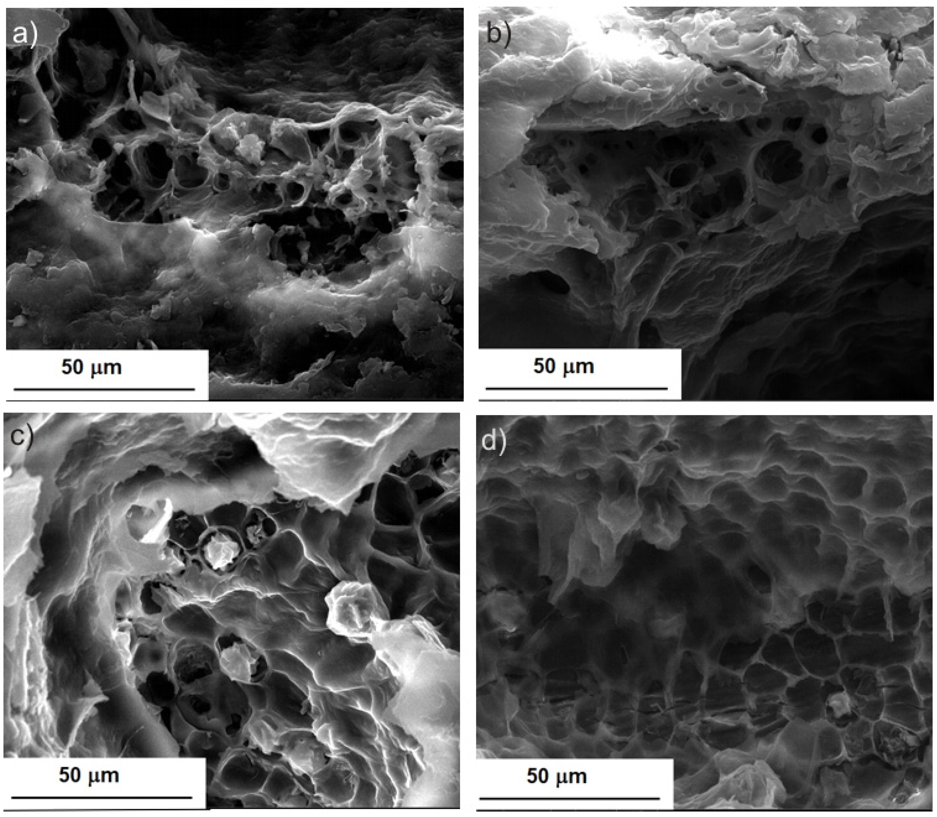 Molecules 28 02486 g002 Molecules 28 02486 g002