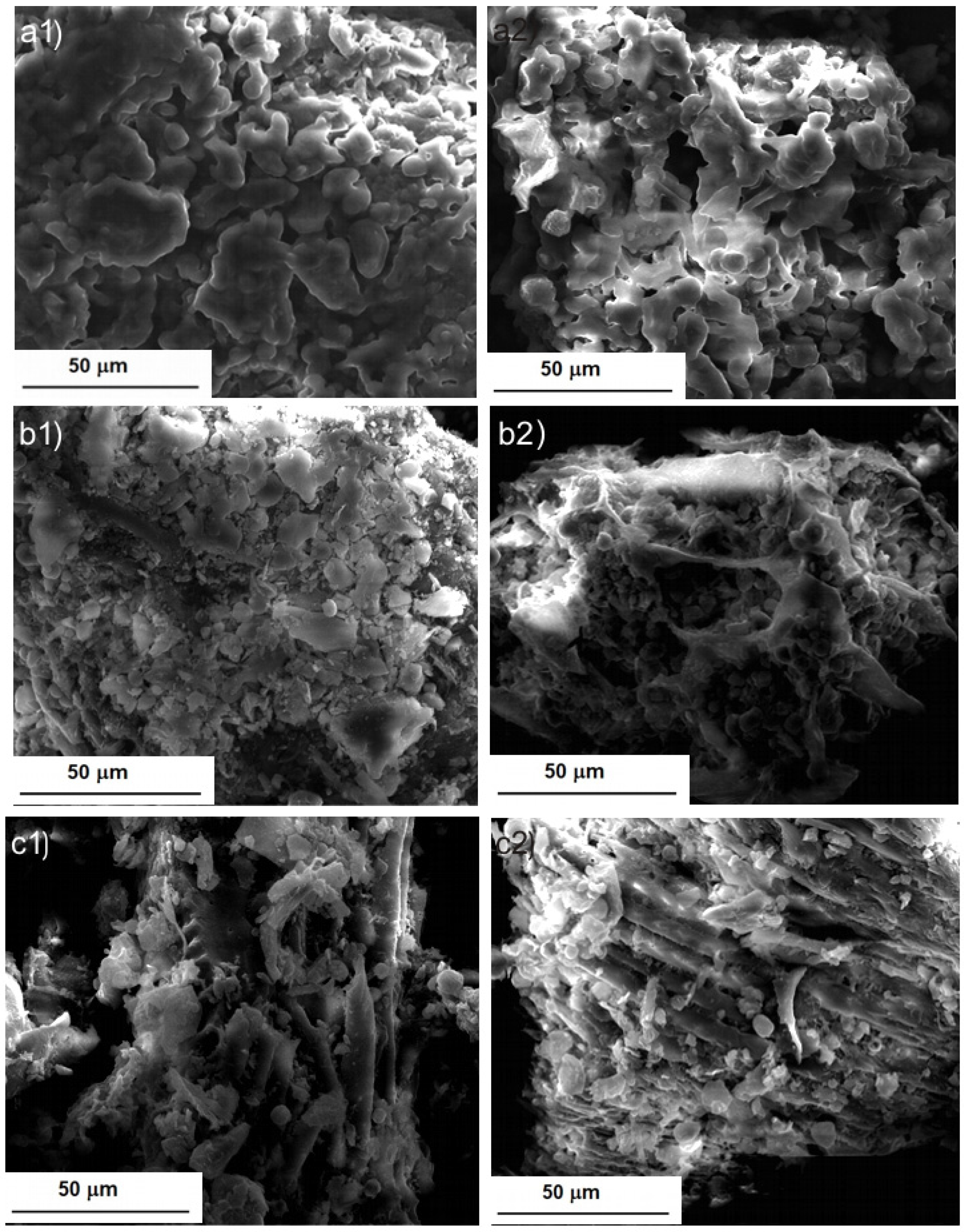 Molecules 28 02486 g004 Molecules 28 02486 g004