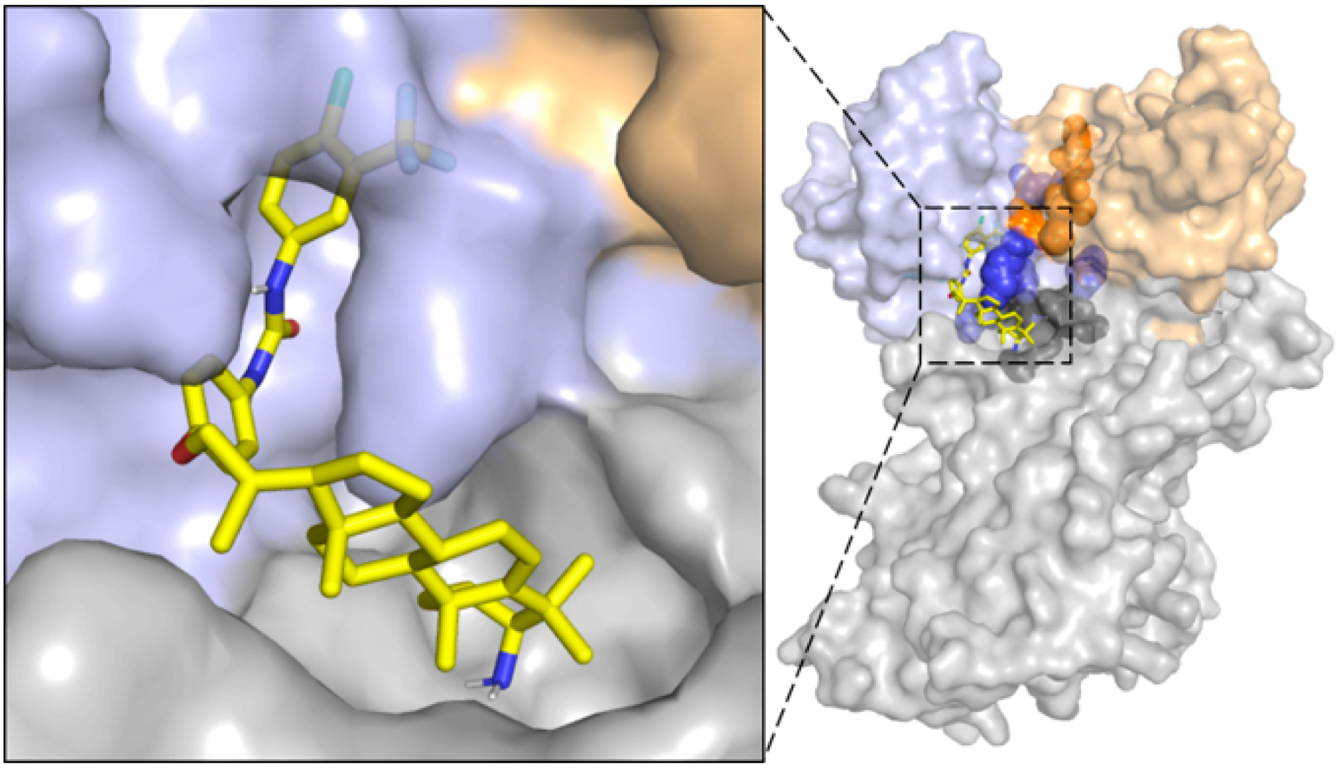 Molecules 28 02488 g002