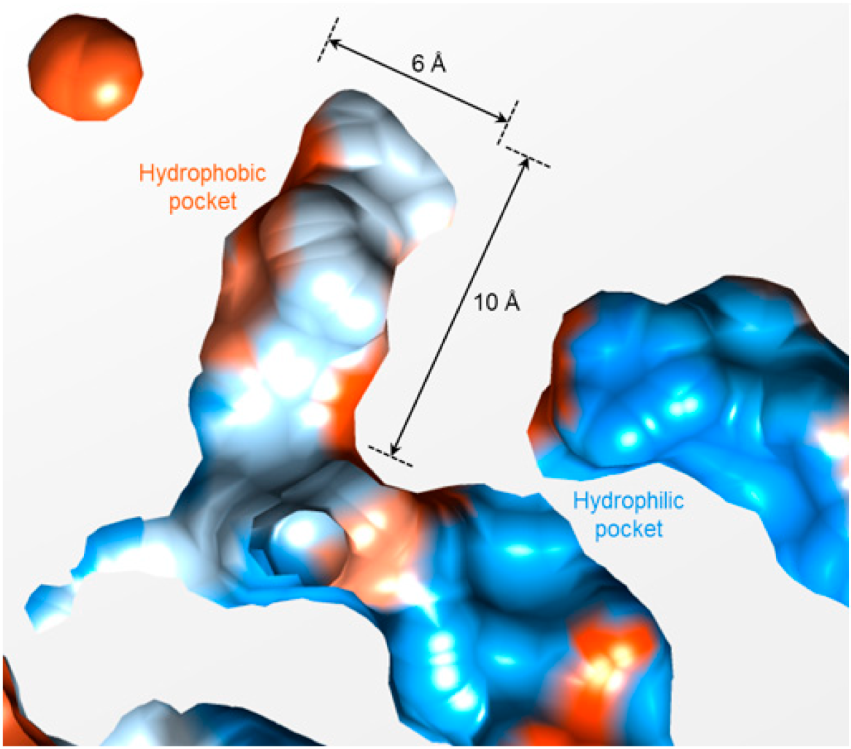 Molecules 28 02488 g003