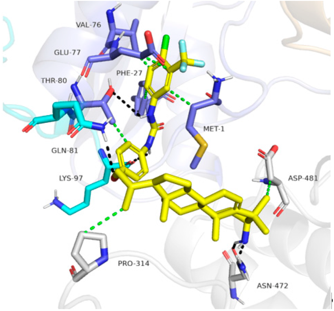 Molecules 28 02488 g005