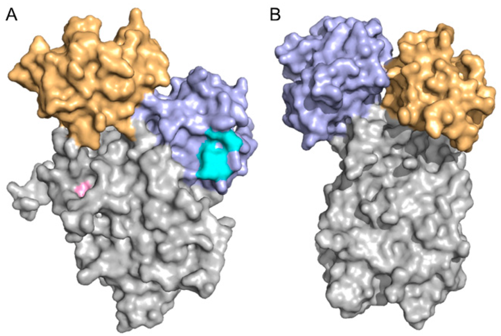 Molecules 28 02488 g006
