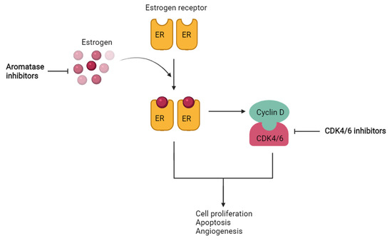 Virtual Screening for Identification of Dual Inhibitors against CDK4/6 ...