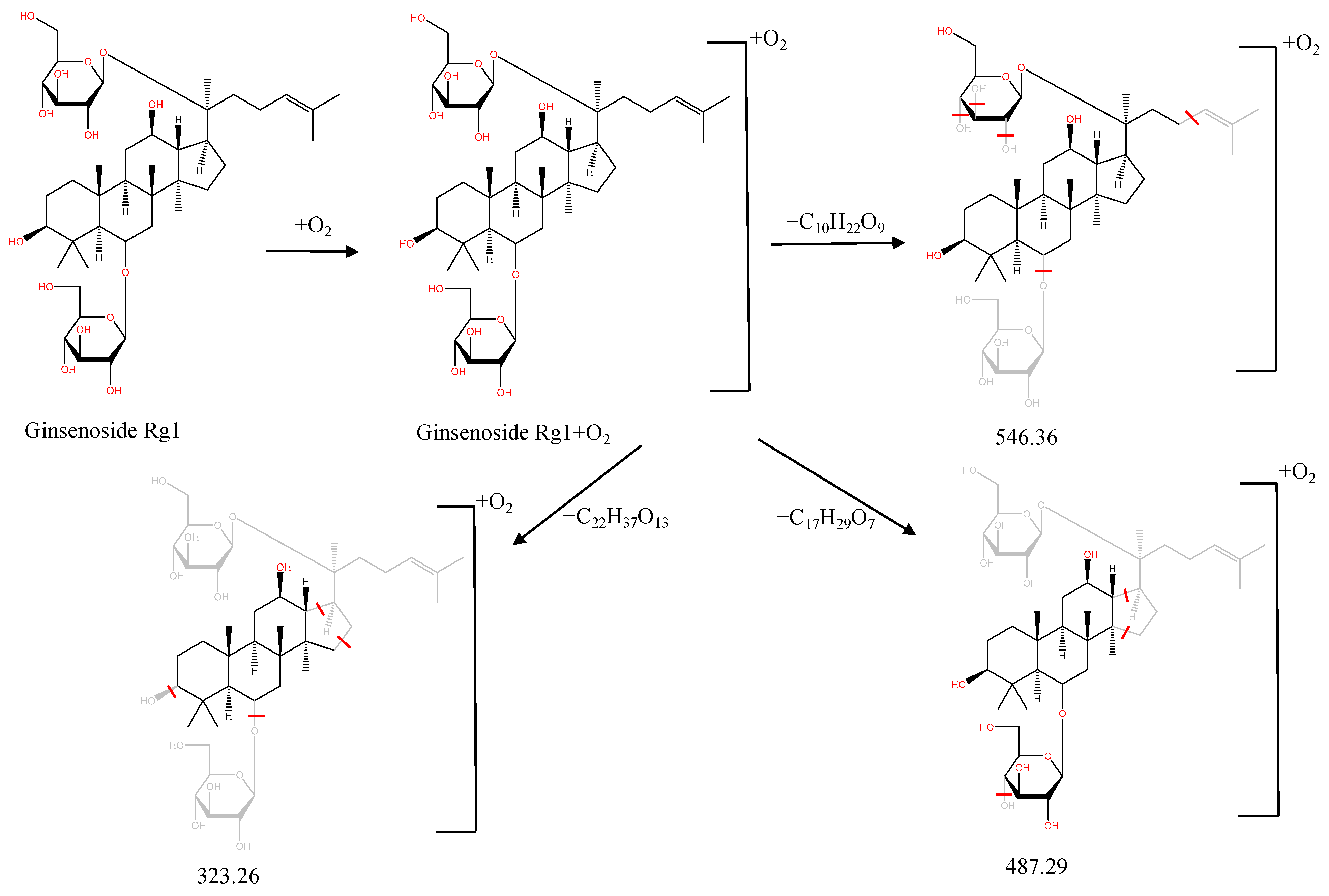 Molecules 28 02494 g007 Molecules 28 02494 g007