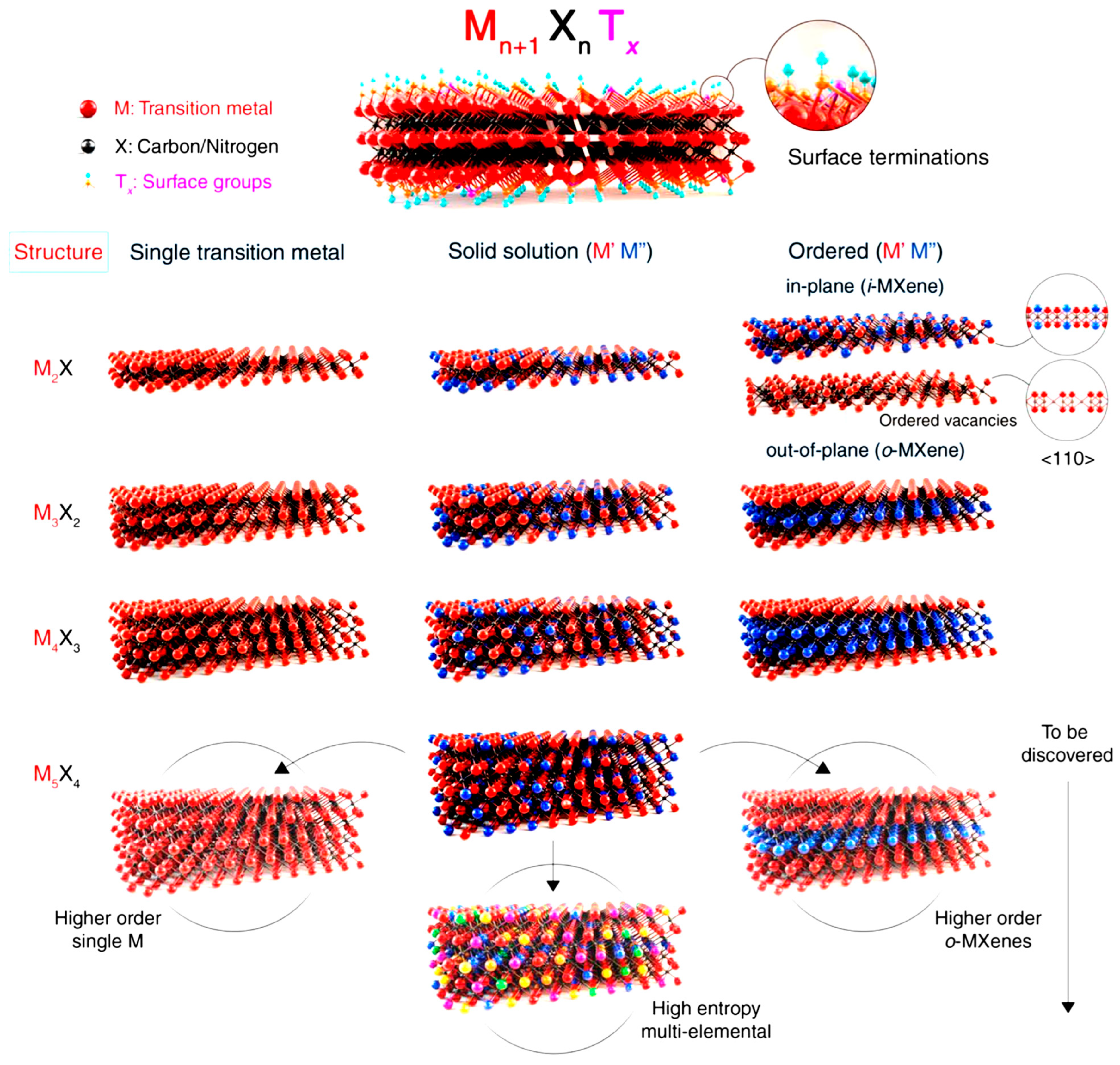 Molecules 28 02495 g003 Molecules 28 02495 g003