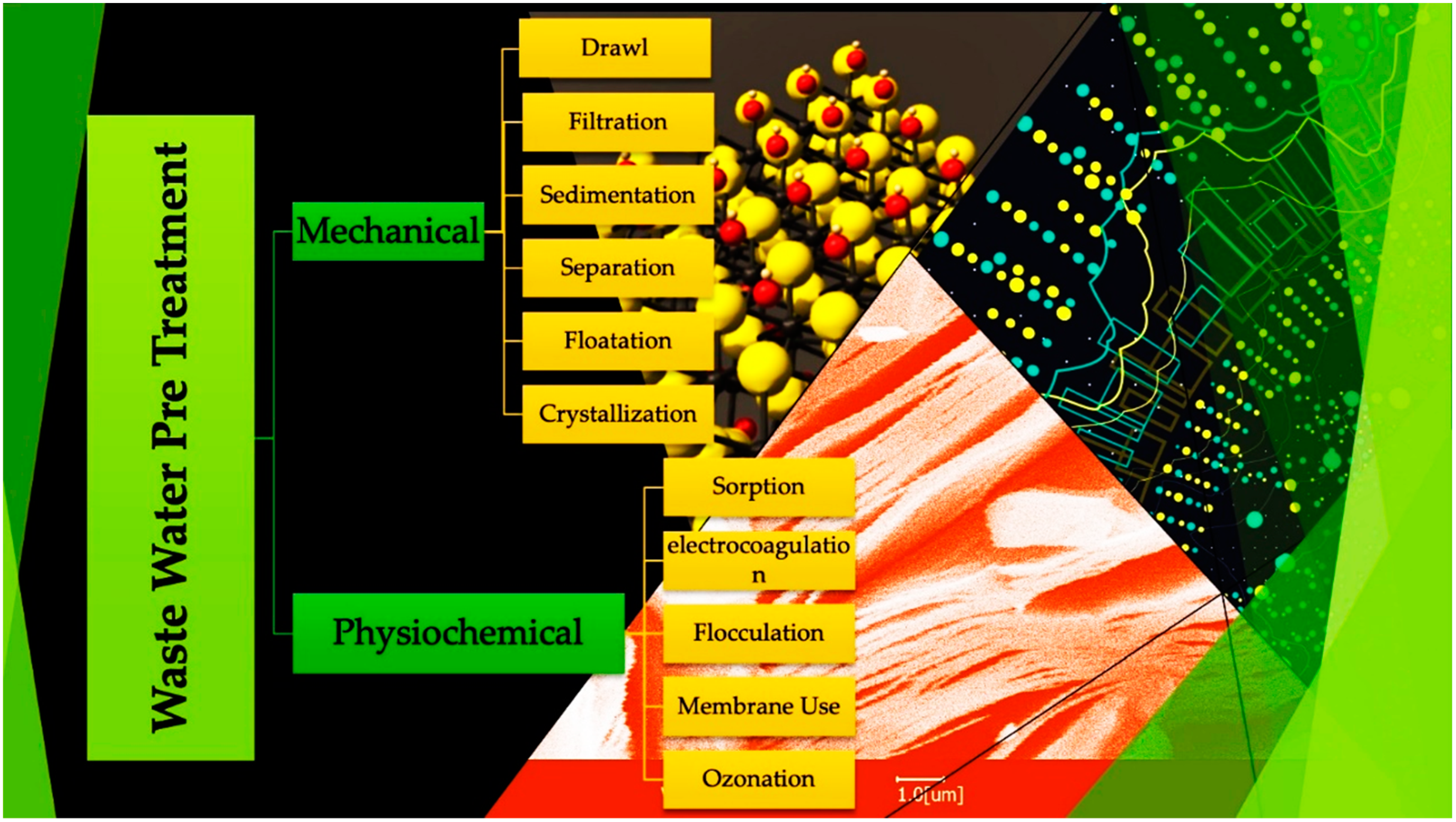 Molecules 28 02495 g005 Molecules 28 02495 g005