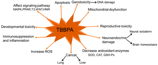 A Review on Tetrabromobisphenol A: Human Biomonitoring, Toxicity