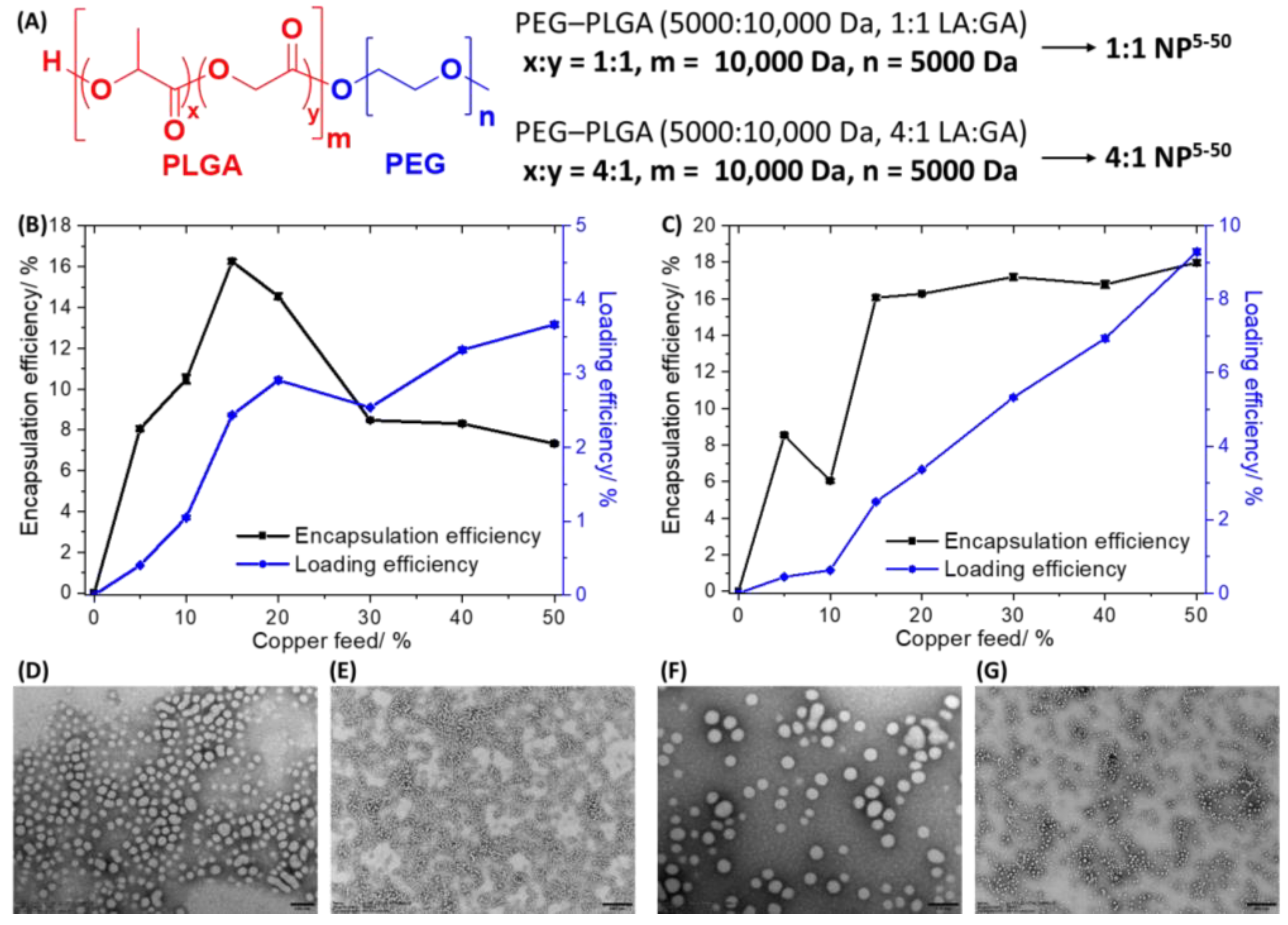 Molecules 28 02506 g002