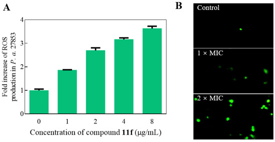 のの Comparative genome and transcriptome analysis reveals