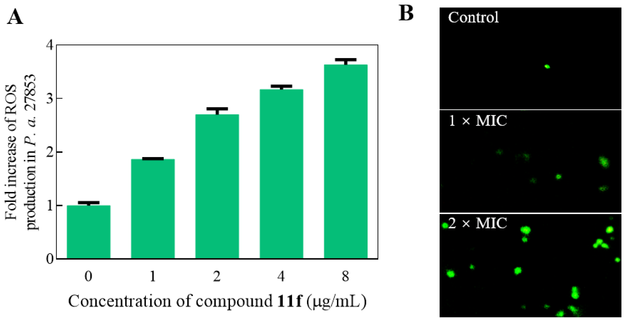 Molecules 28 02511 g010