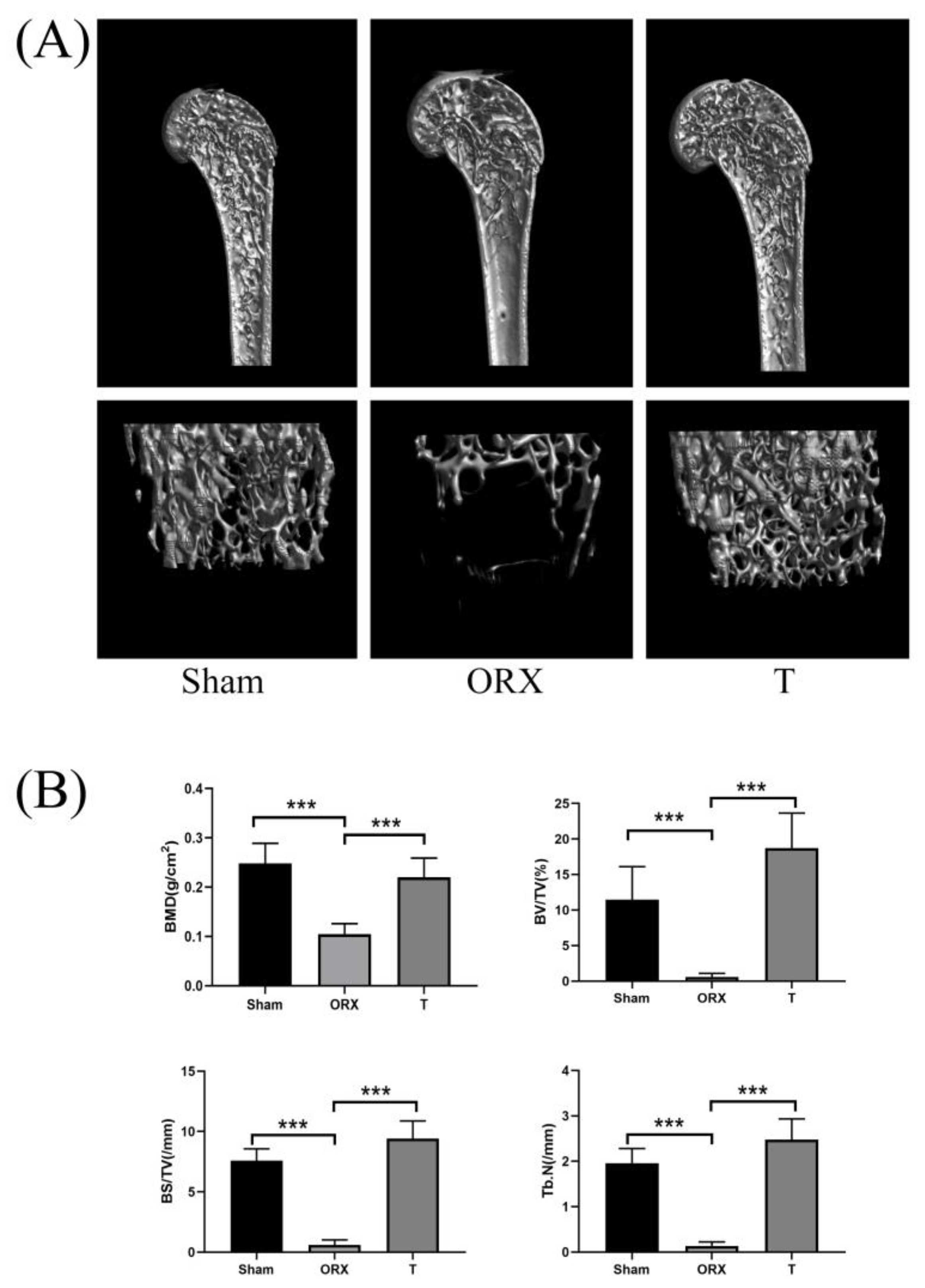 Molecules 28 02512 g001