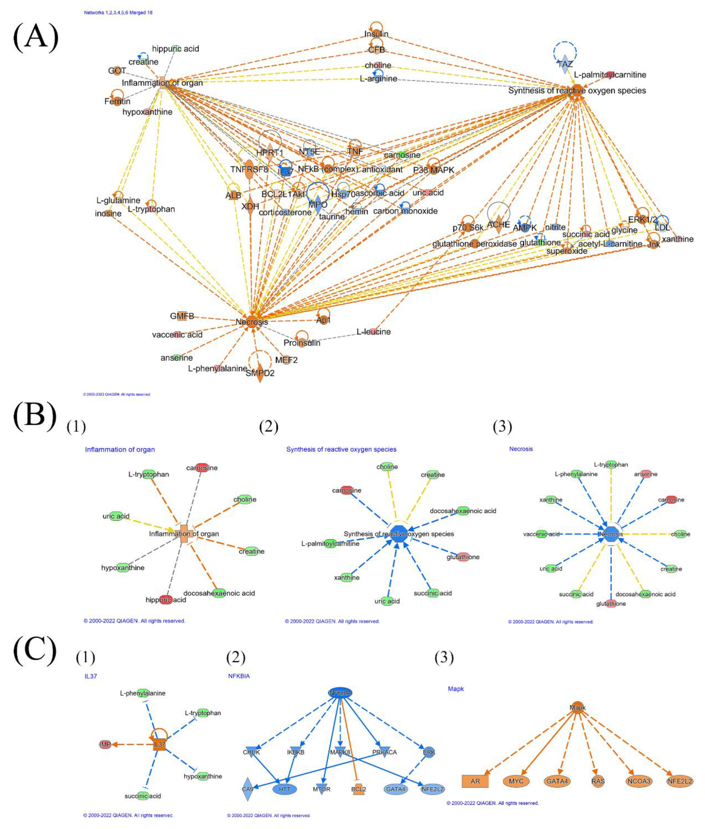 Molecules 28 02512 g004