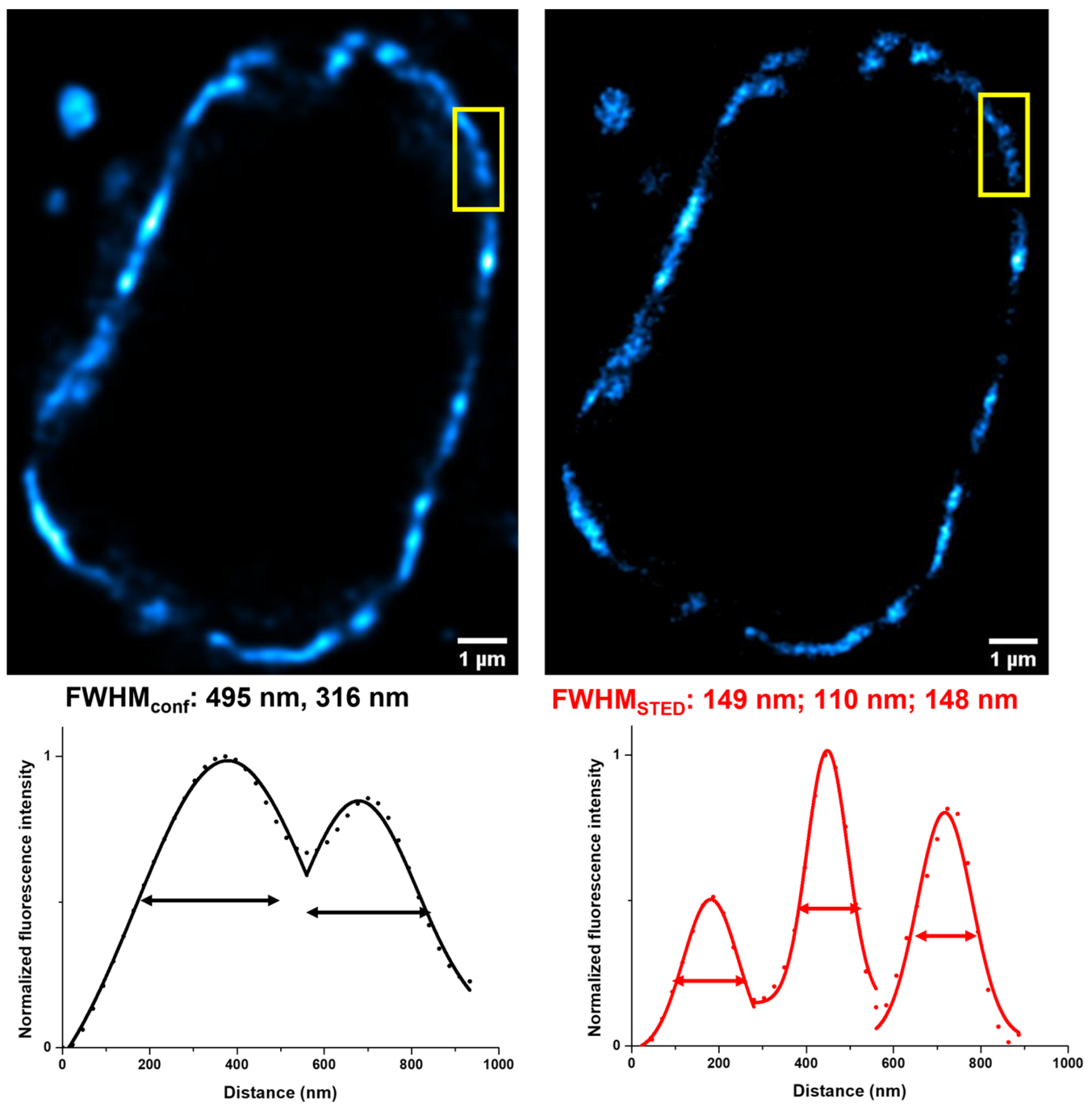 Molecules 28 02521 g005 Molecules 28 02521 g005