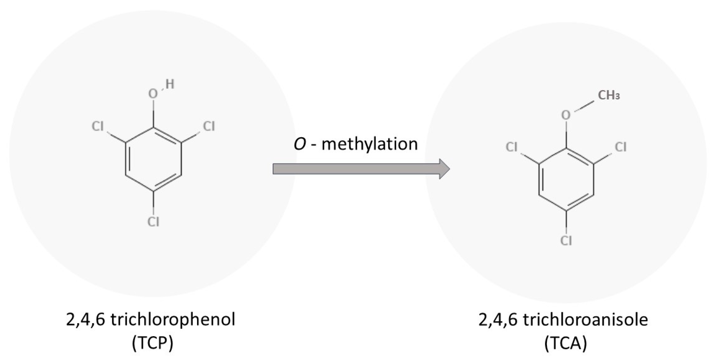 Molecules 28 02532 g001