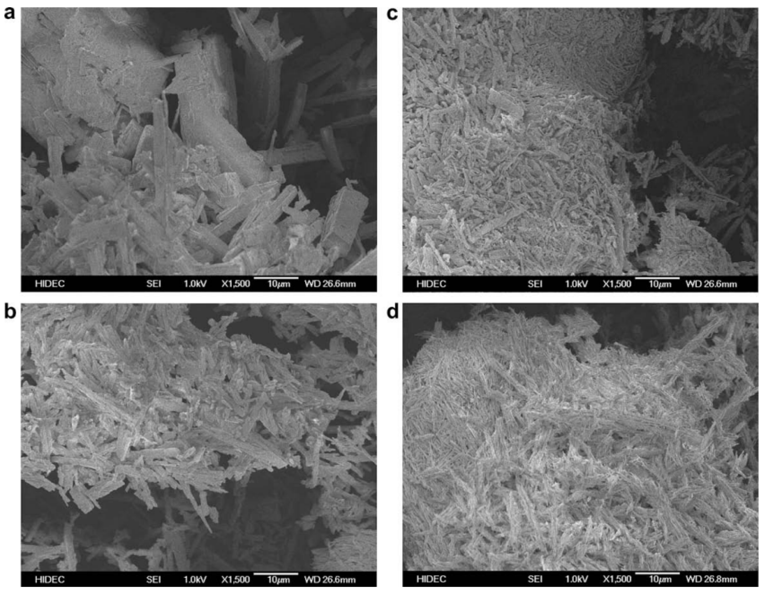 Molecules 28 02540 g001